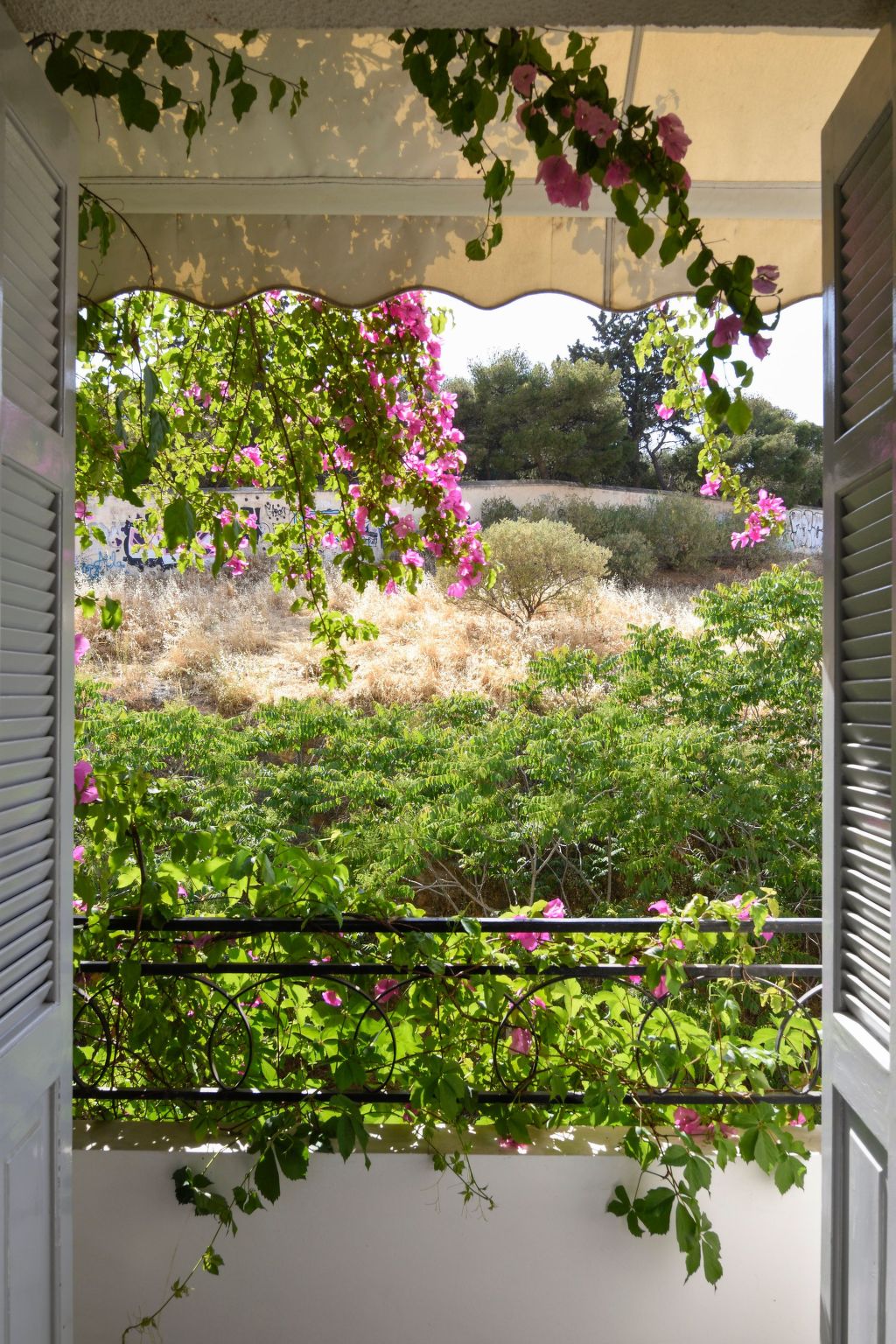 Wohnung "Bougainvillea" mit Balkon — Terrace (2 of 25)