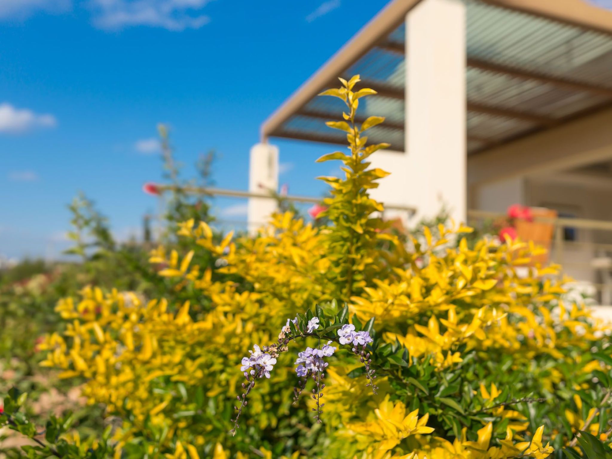 Ferienvilla auf einem privaten und sicheren Grundstück-Binnen