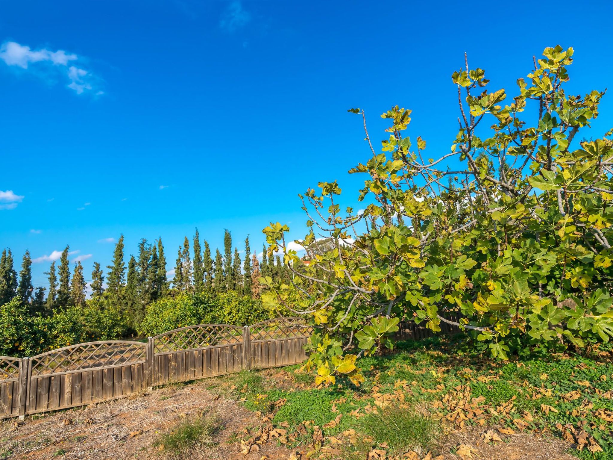 Ferienvilla auf einem privaten und sicheren Grundstück-Binnen
