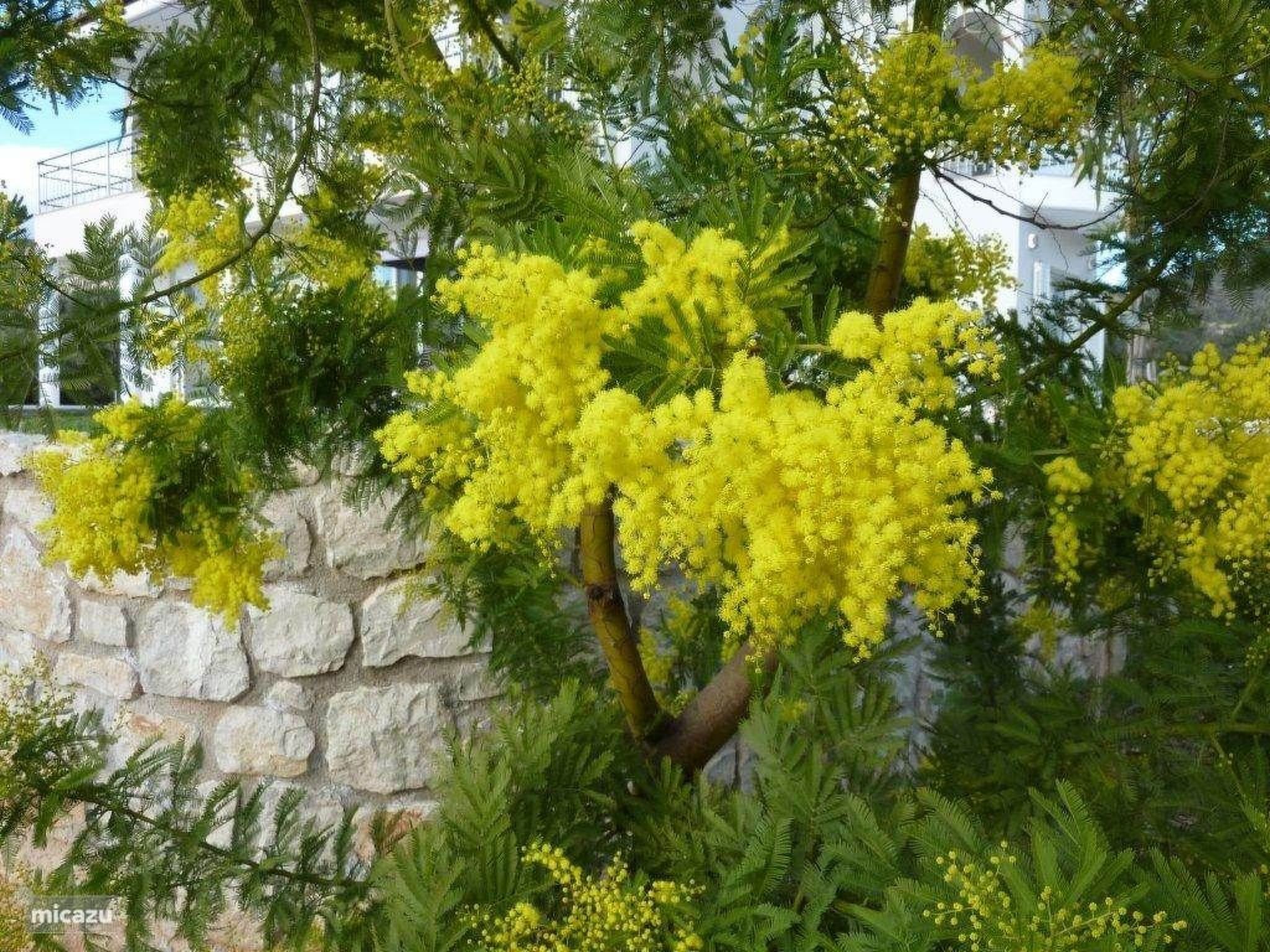 Anwesen "Villa Livadia" mit Infinity-Pool-Image-tags.info