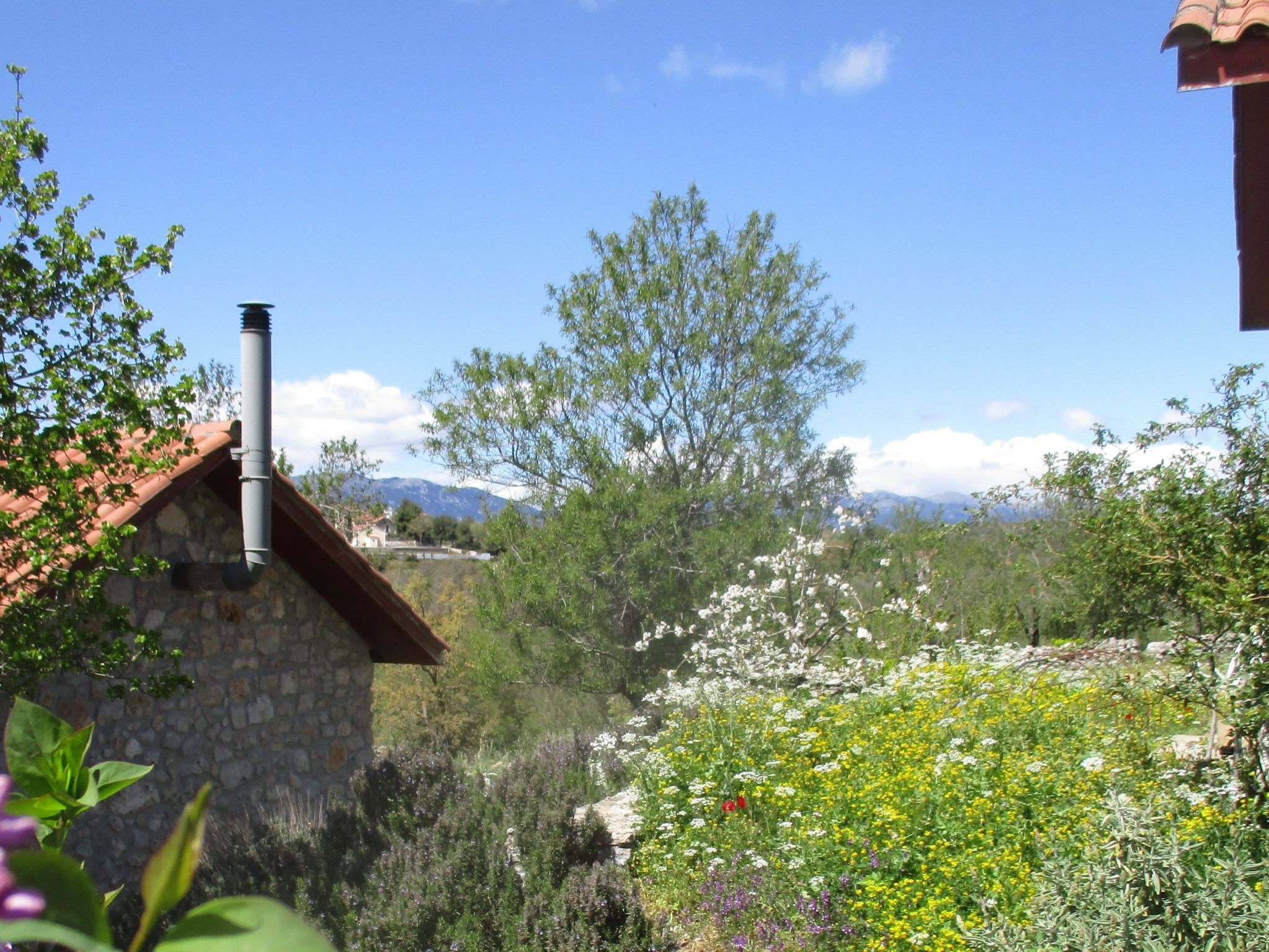 Unknown Accommodation-Binnen