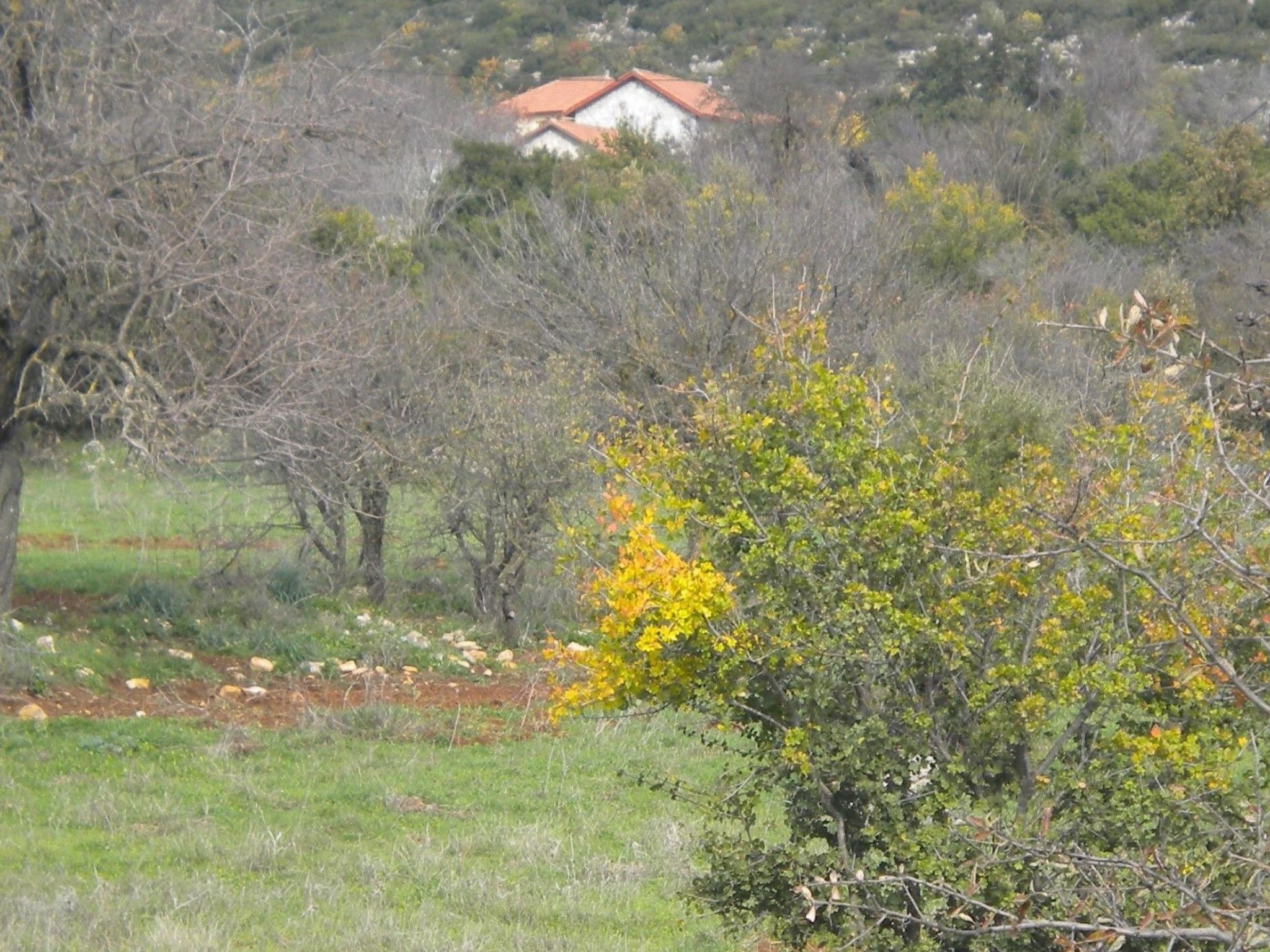 Unknown Accommodation-Binnen