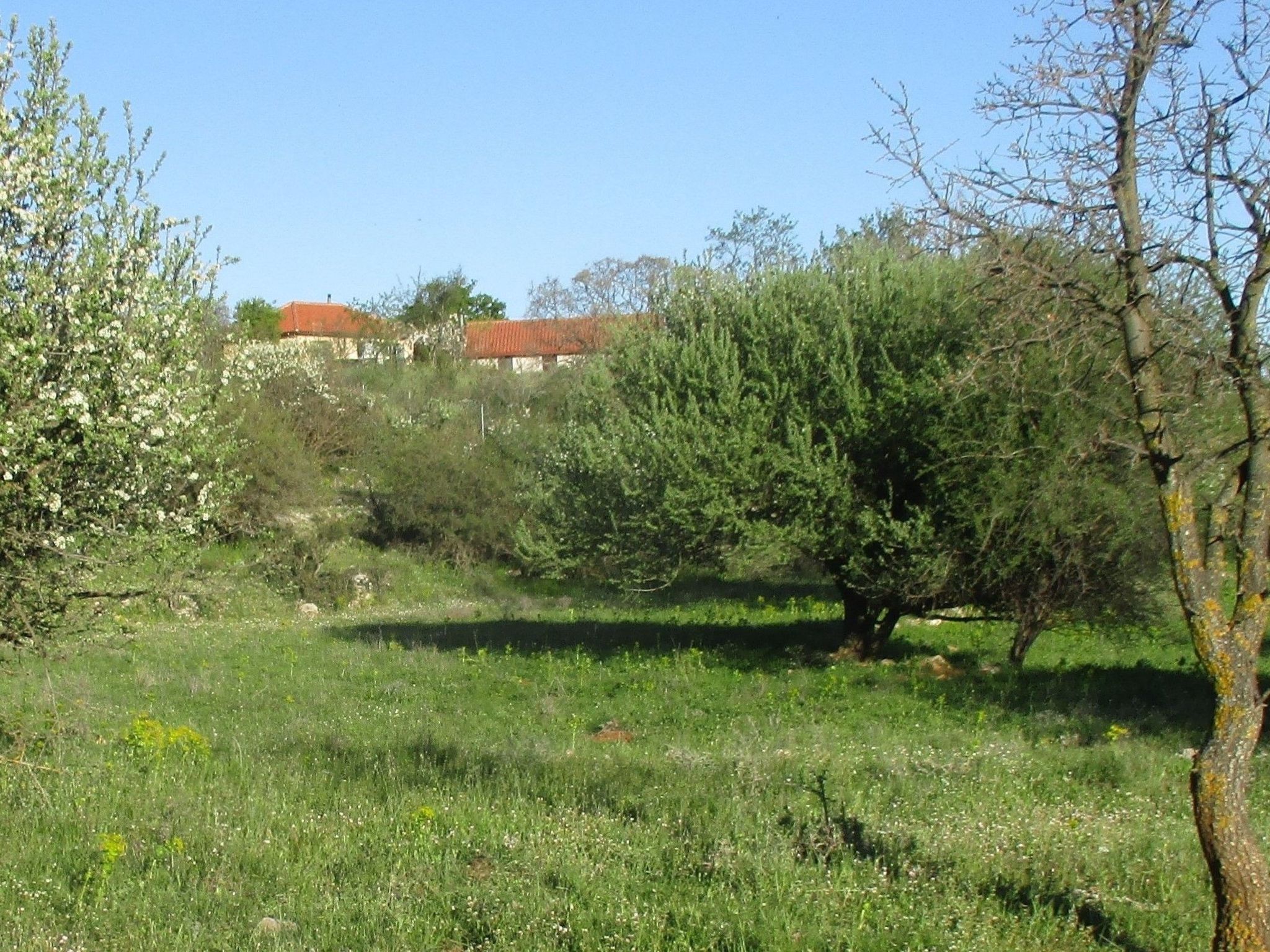 Unknown Accommodation-Binnen