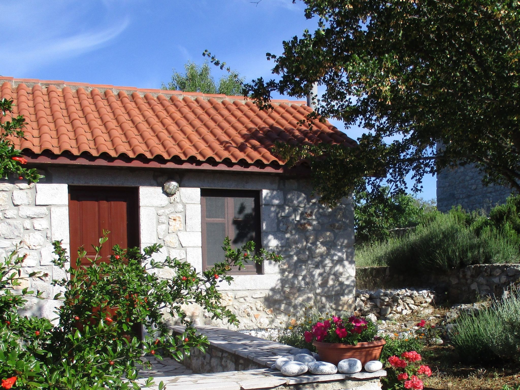 Unknown Accommodation-Binnen