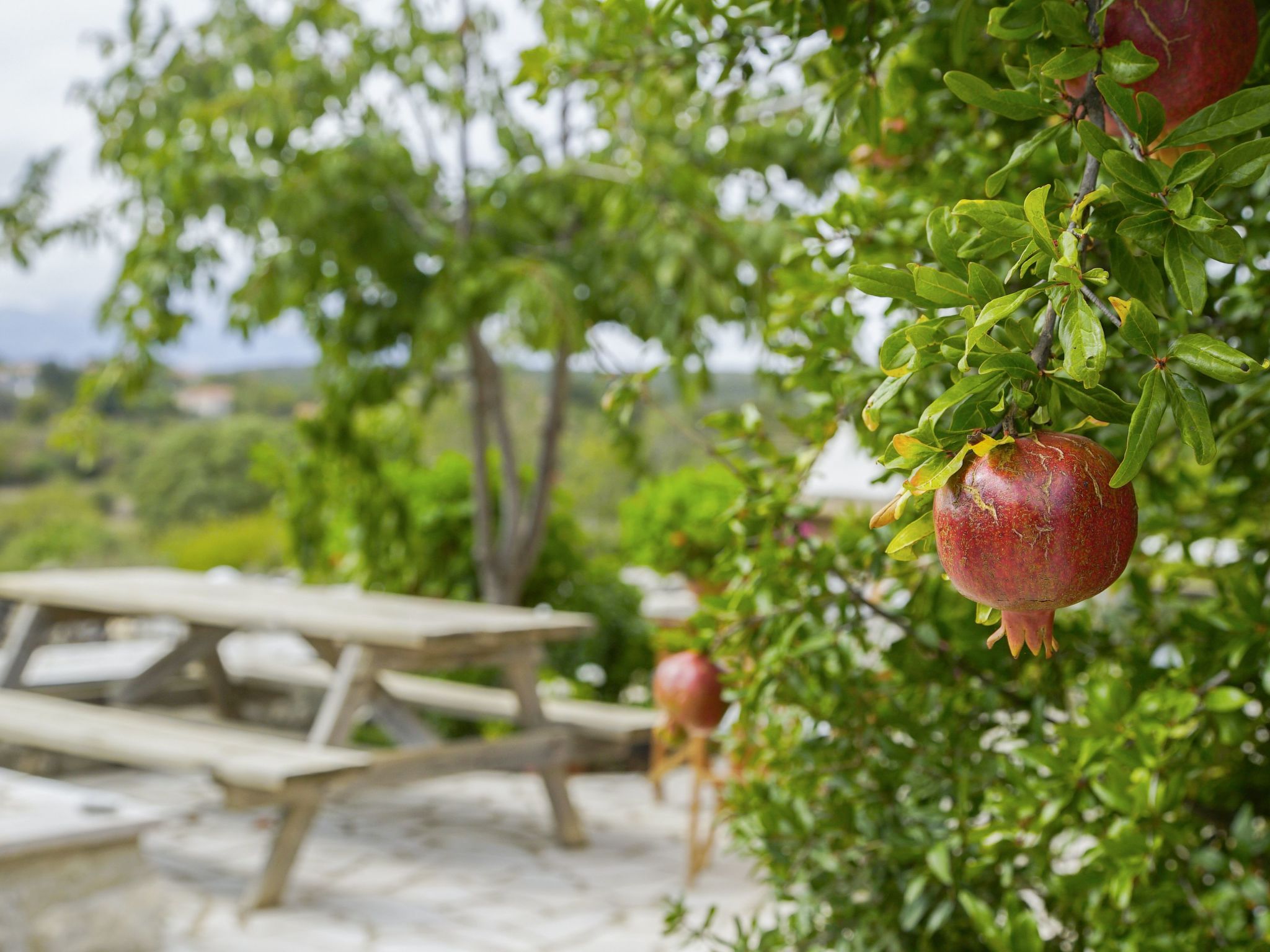 Steinhaus in Leonido mit Parkplatz-Binnen