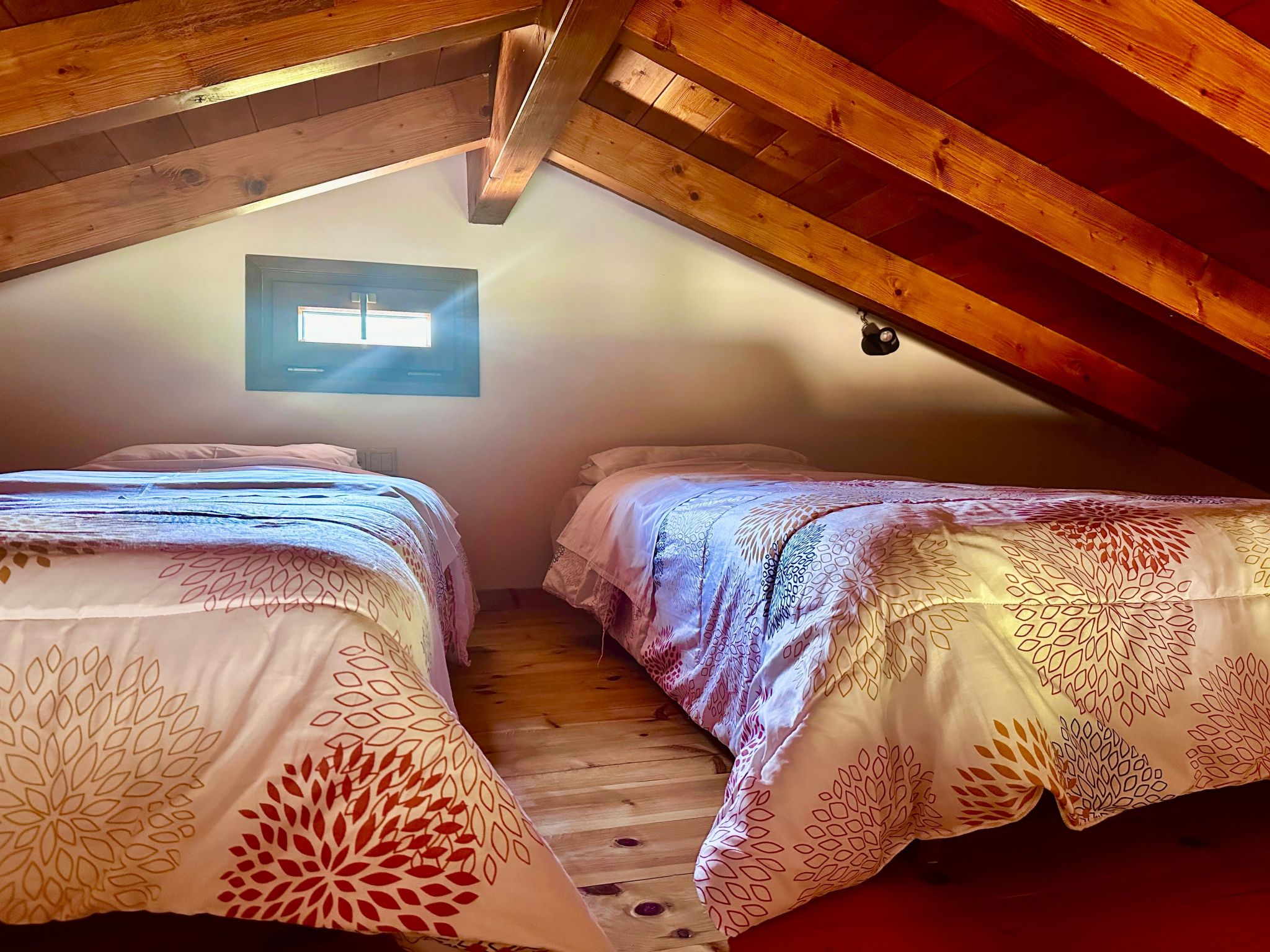 Cottage beachfront-Image-tags.info