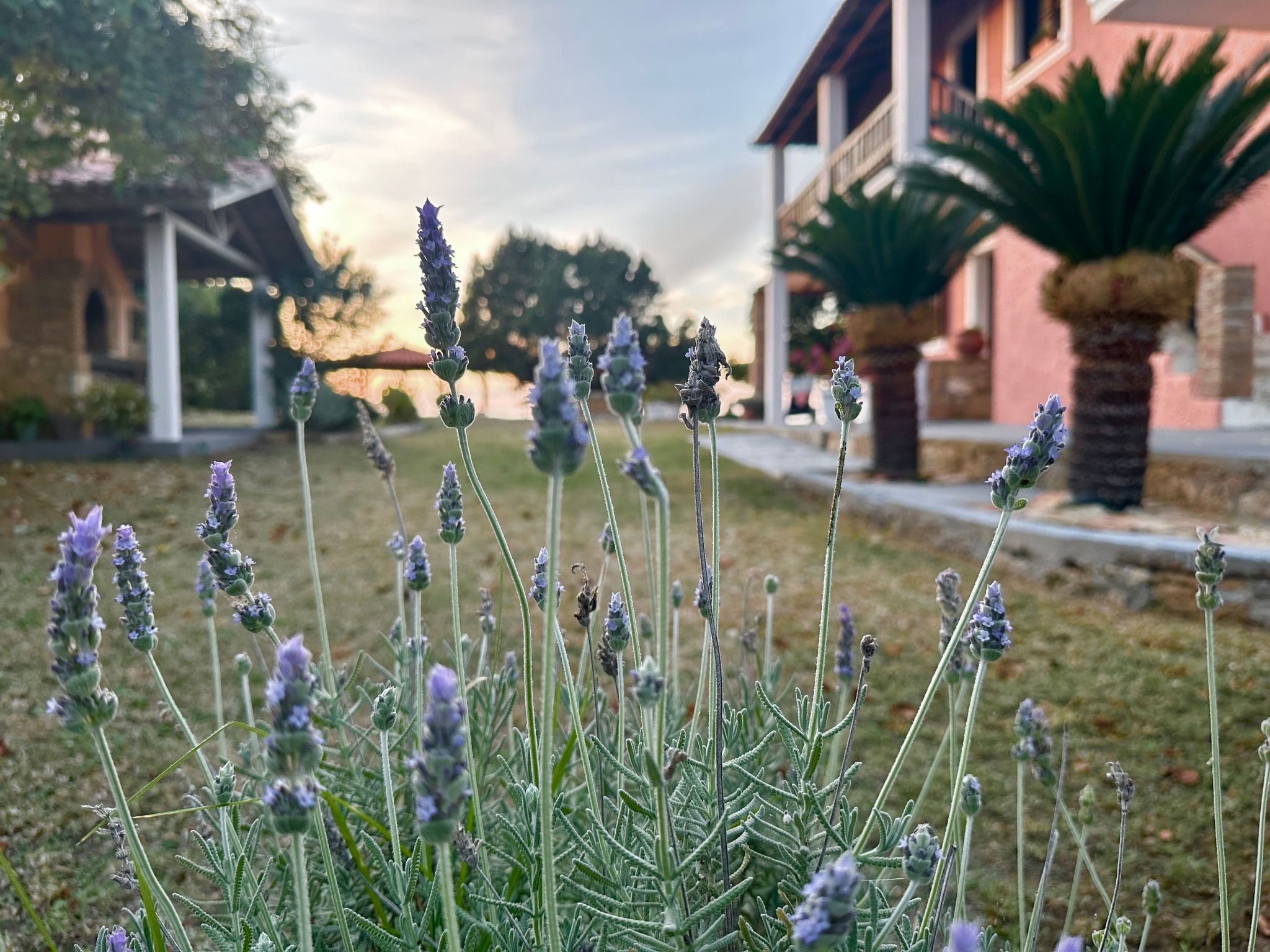 Cottage beachfront-Image-tags.info