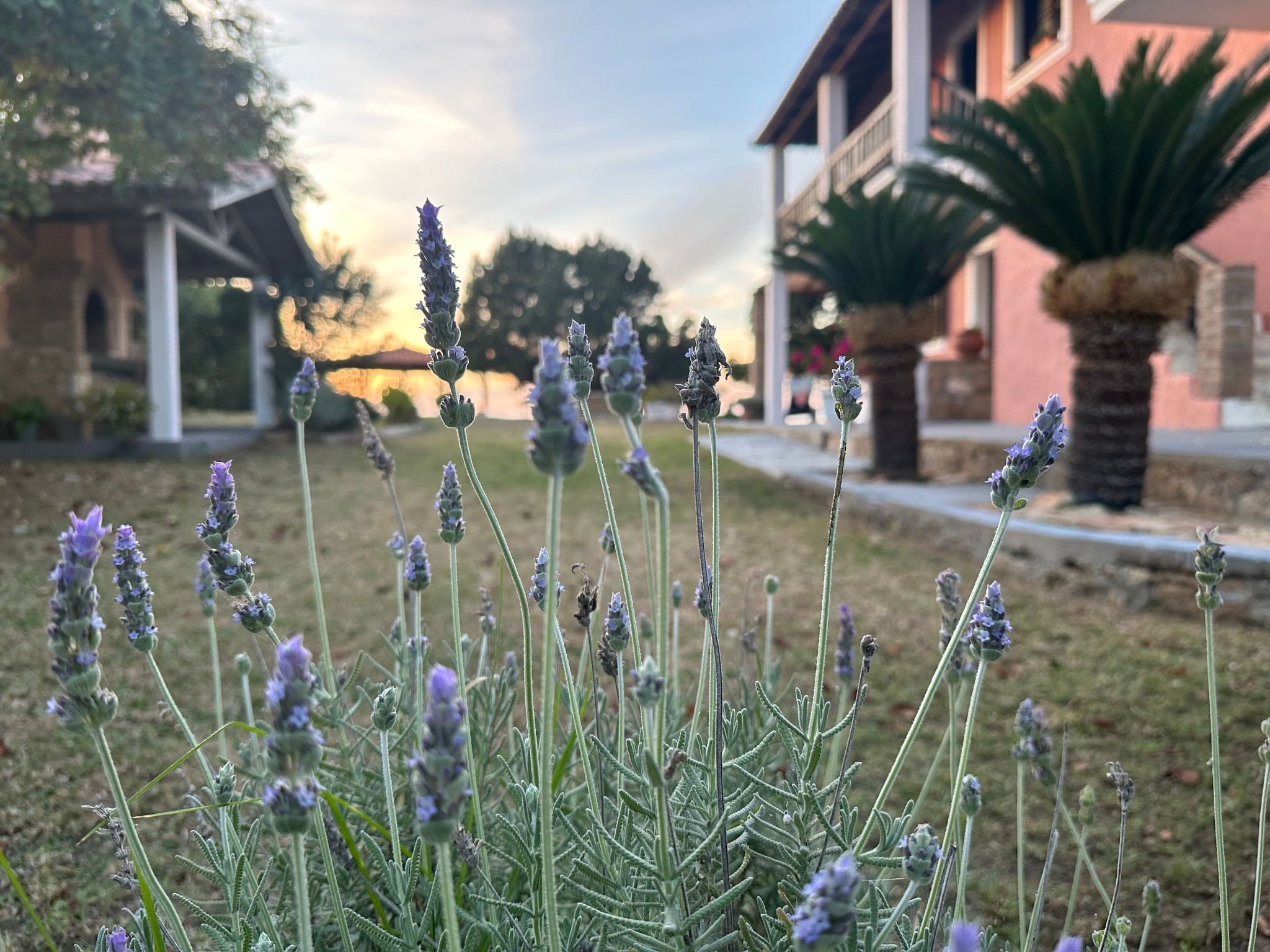 Cottage beachfront-Image-tags.info