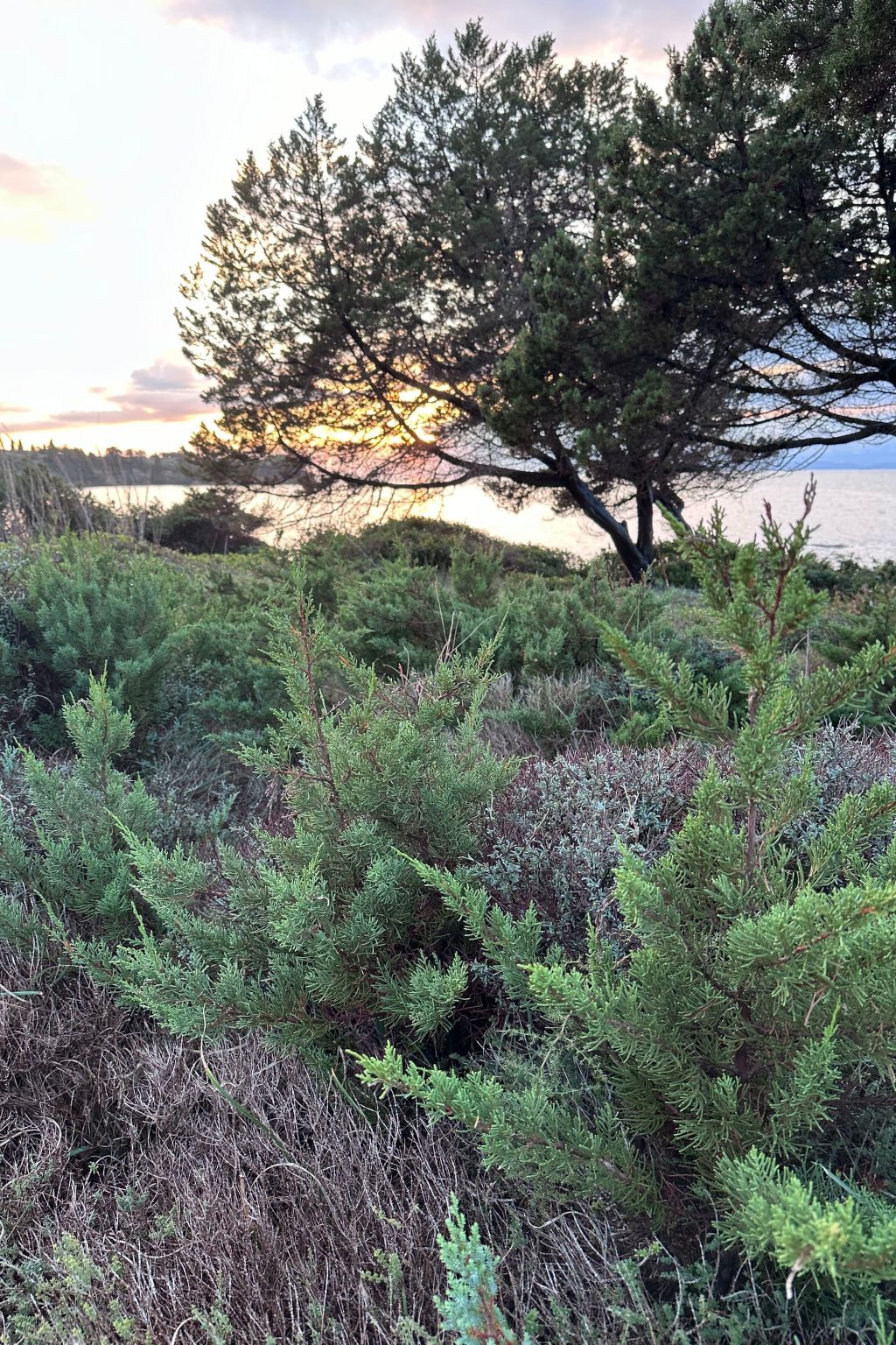 Cottage beachfront-Image-tags.info