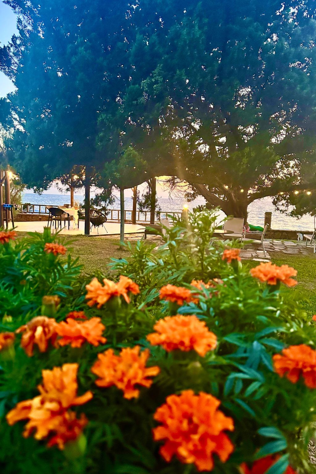 Apartment mit Meer- und Gartenblick - Genari Beach
