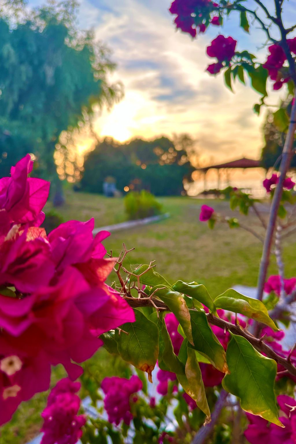 Apartment mit Meer- und Gartenblick - Genari Beach-Image-tags.info