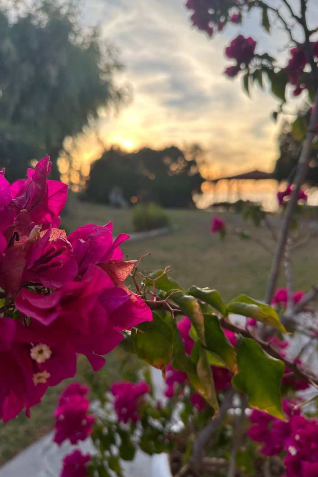 Apartment mit Meer- und Gartenblick - Genari Beach-Image-tags.info