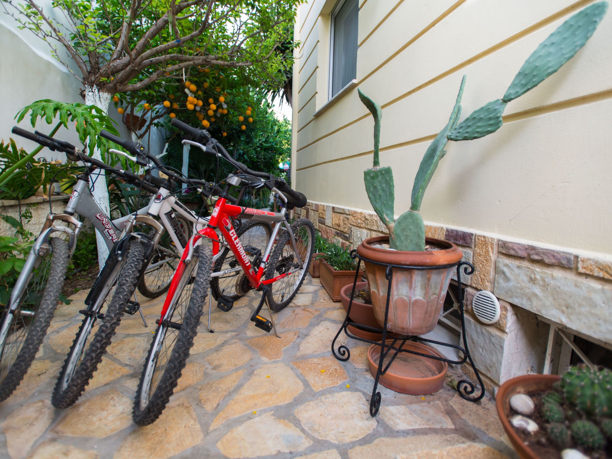 Diamante beachfront suite B-Binnen