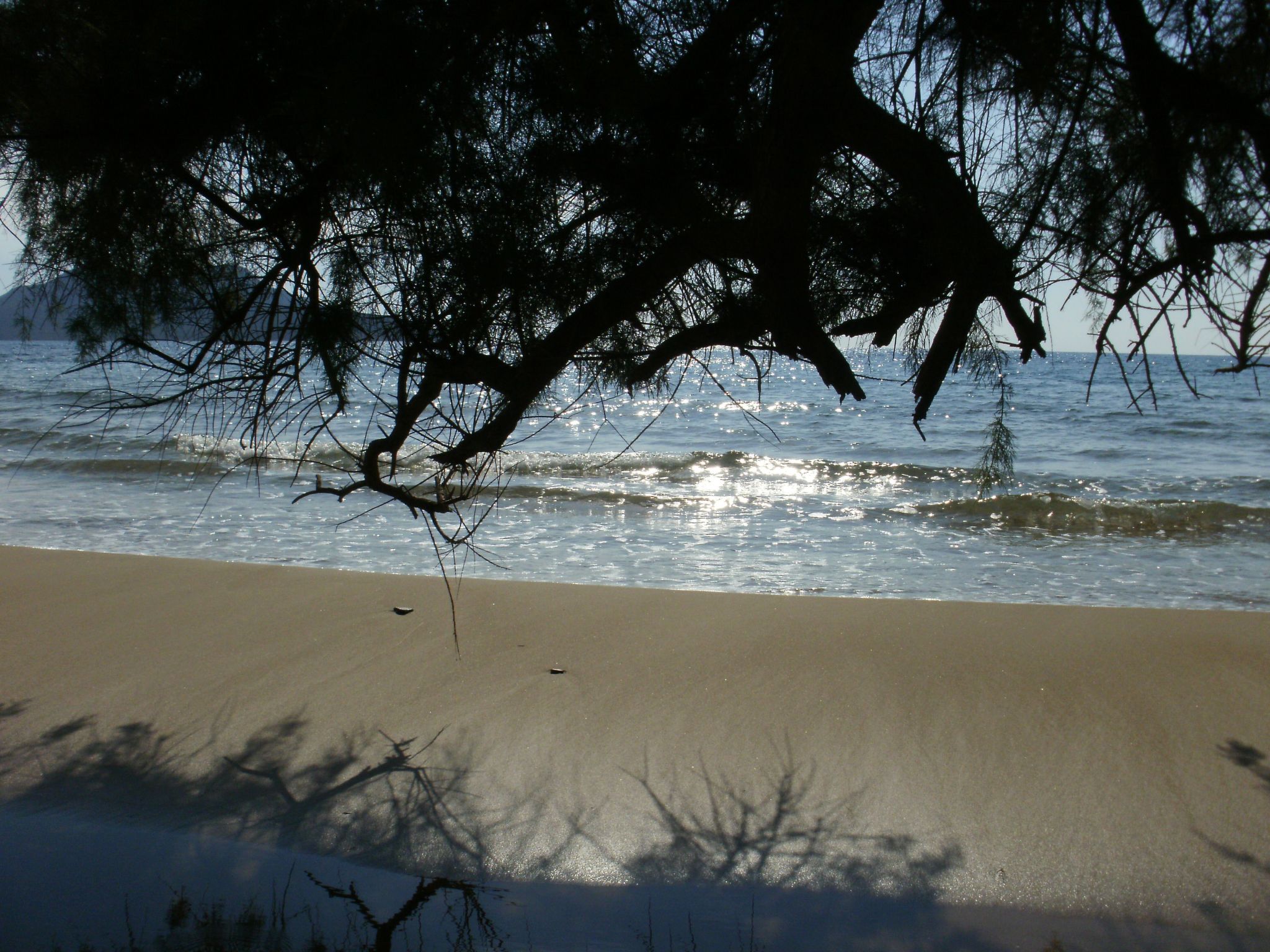 Charly Point Villa-Inside