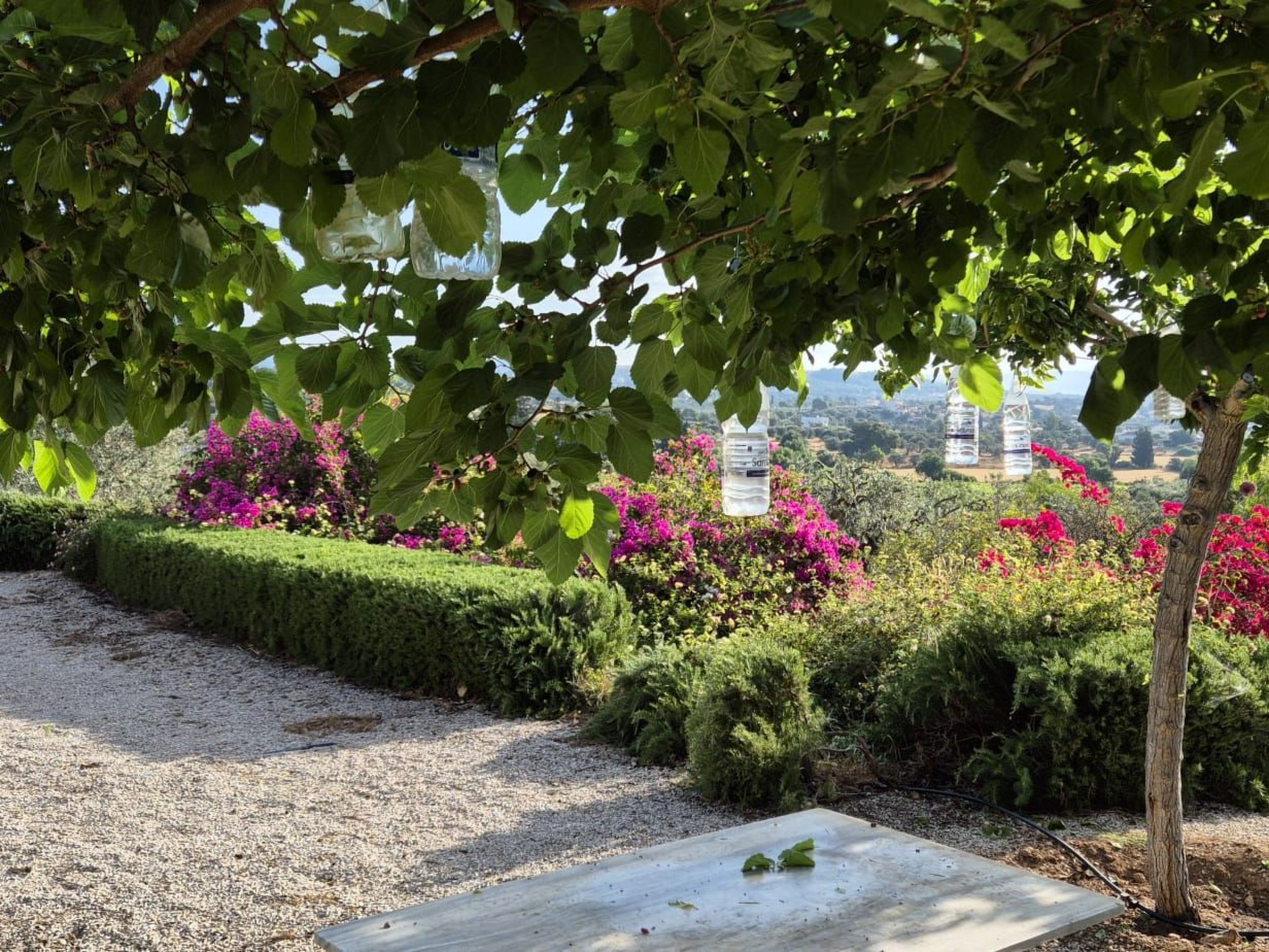 Villa Newlands, Porto Cheli - Meer und Berge.-Binnen
