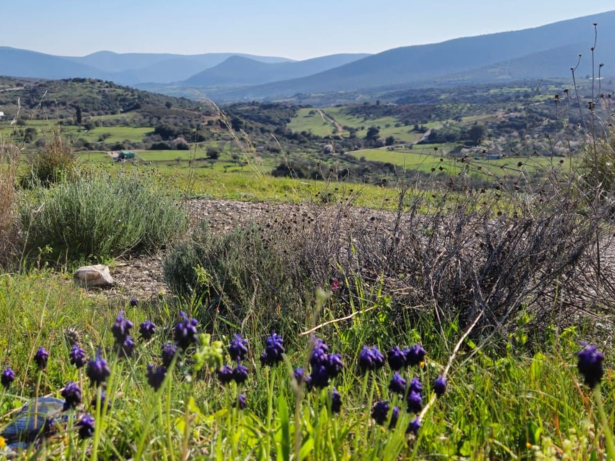 Villa Newlands, Porto Cheli - Meer und Berge.-Binnen