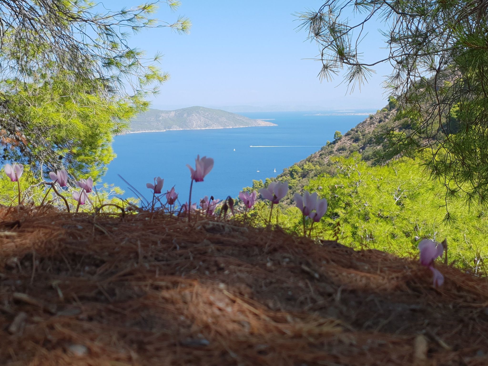 "Villa Newlands" - Pool, Meer und Inseln-Binnen