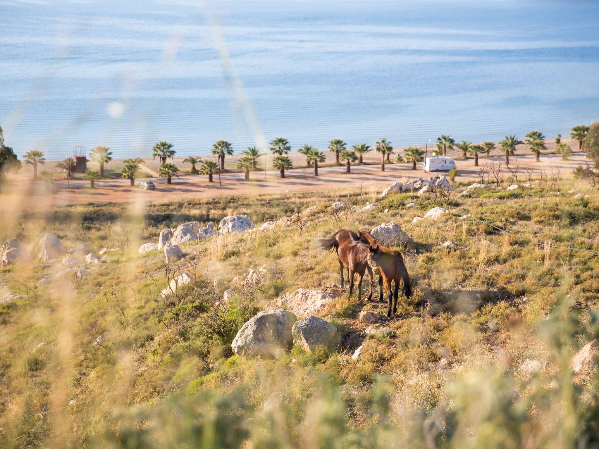 Luxuriöses Apartment mit einem Schlafzimmer direkt am Wasser, Meerblick-Dedans