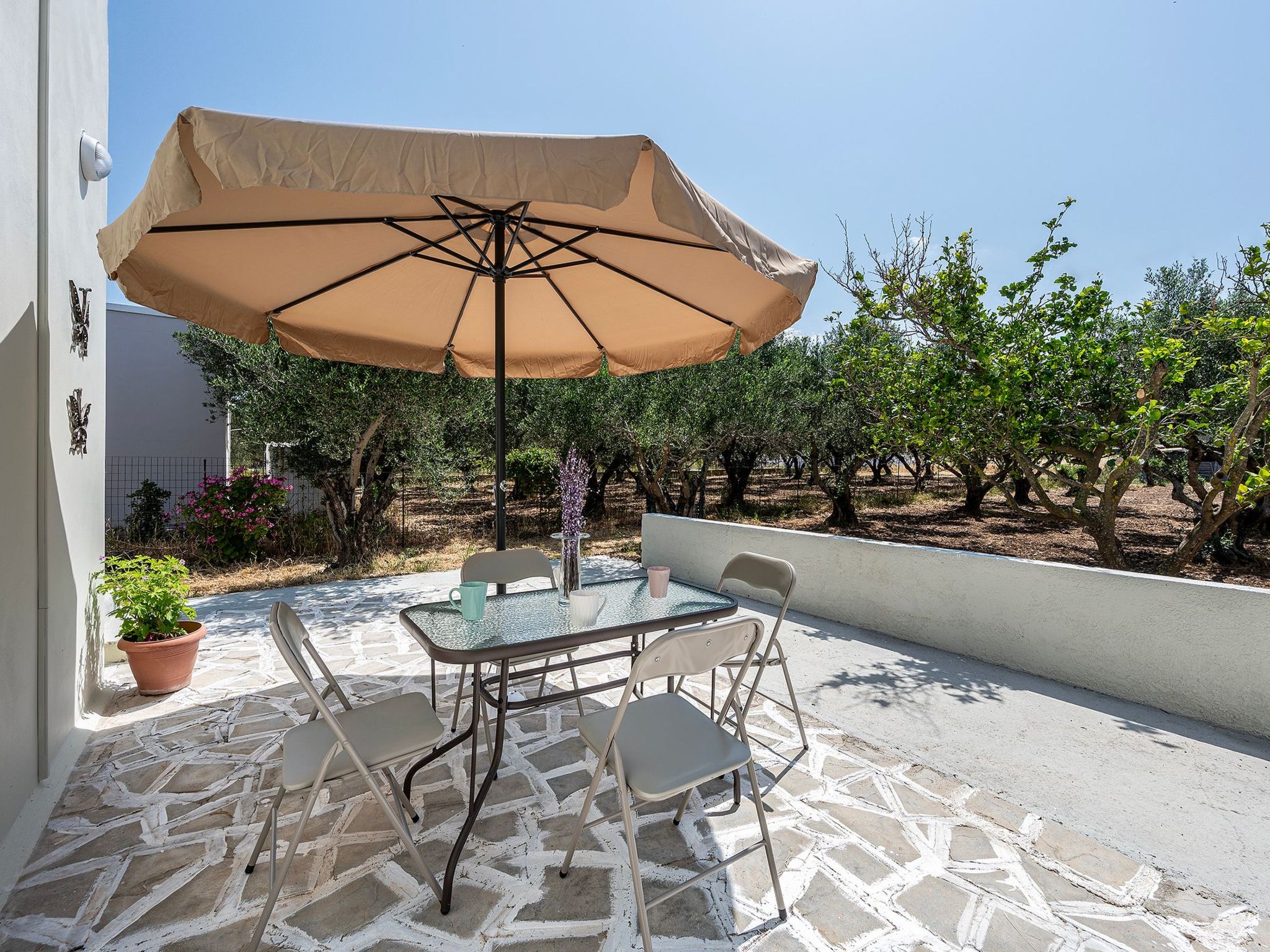 In einem Olivenhain in Strandnähe