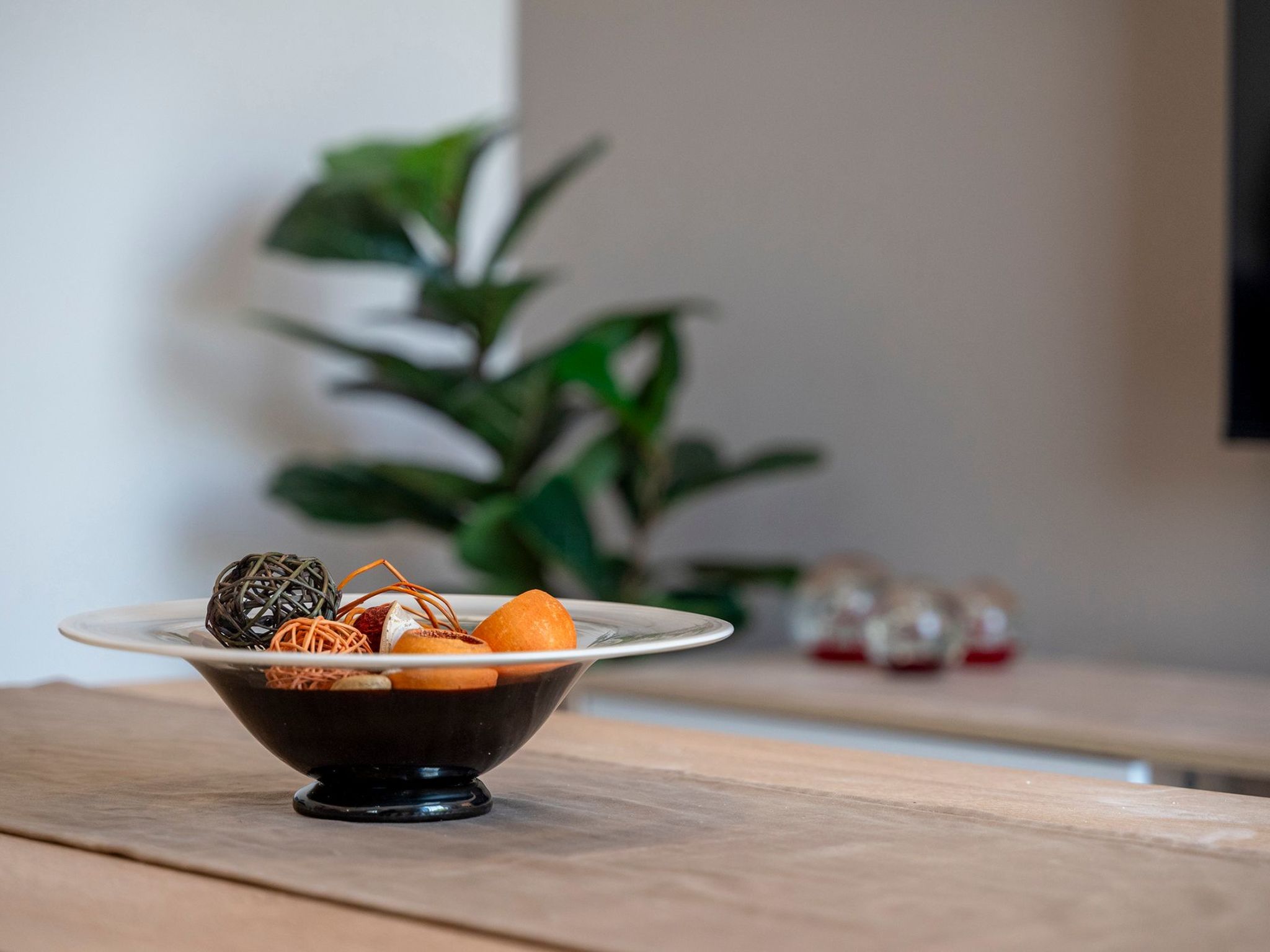 In einem Olivenhain in Strandnähe - Inside