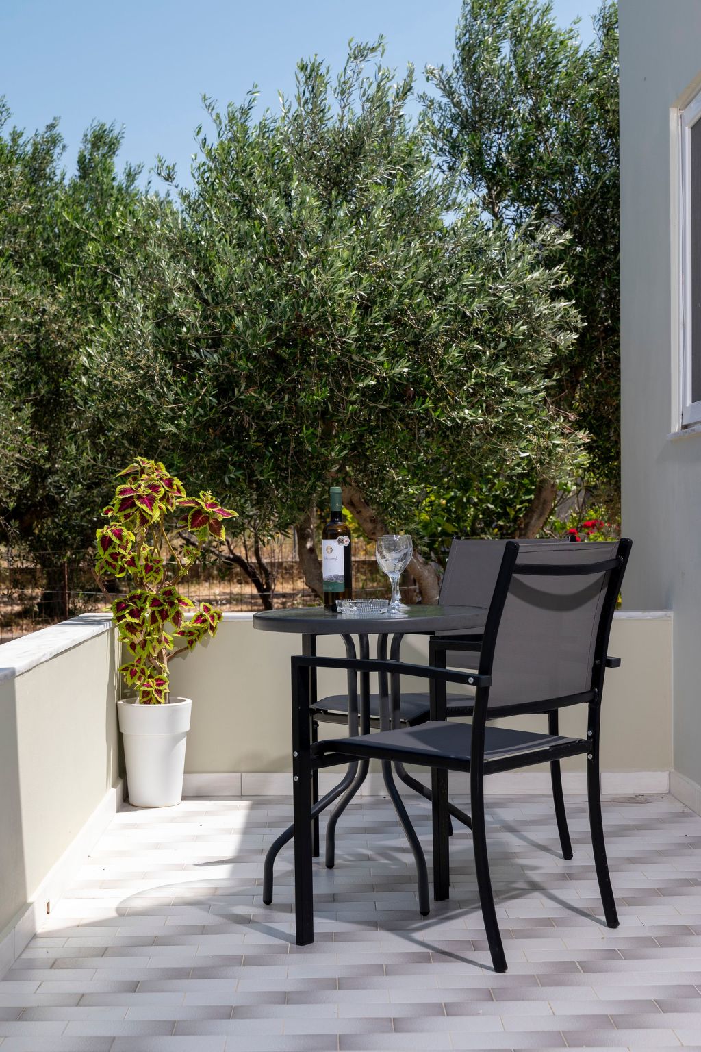 In einem Olivenhain in Strandnähe - Outside