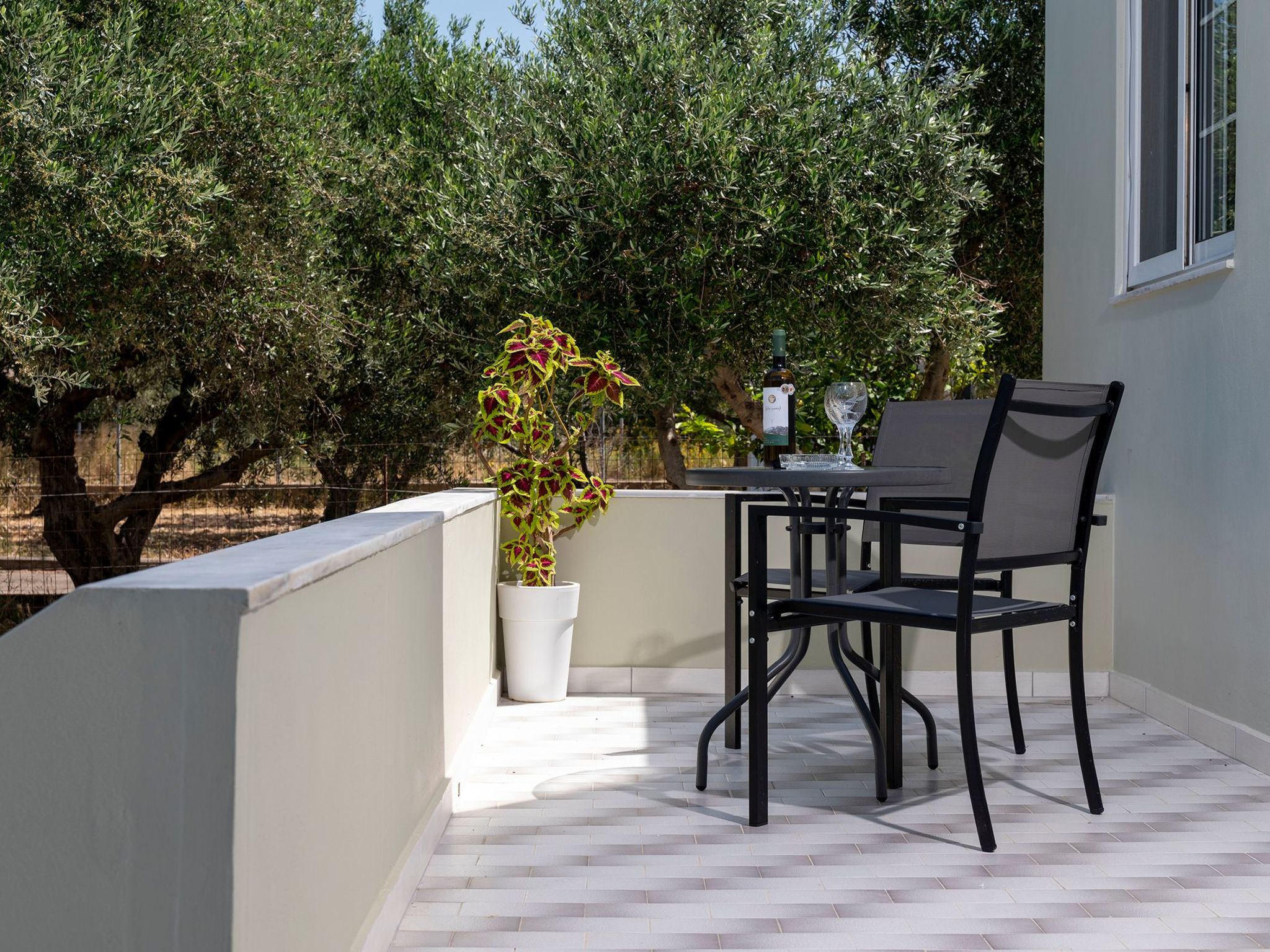 In einem Olivenhain in Strandnähe - Outside