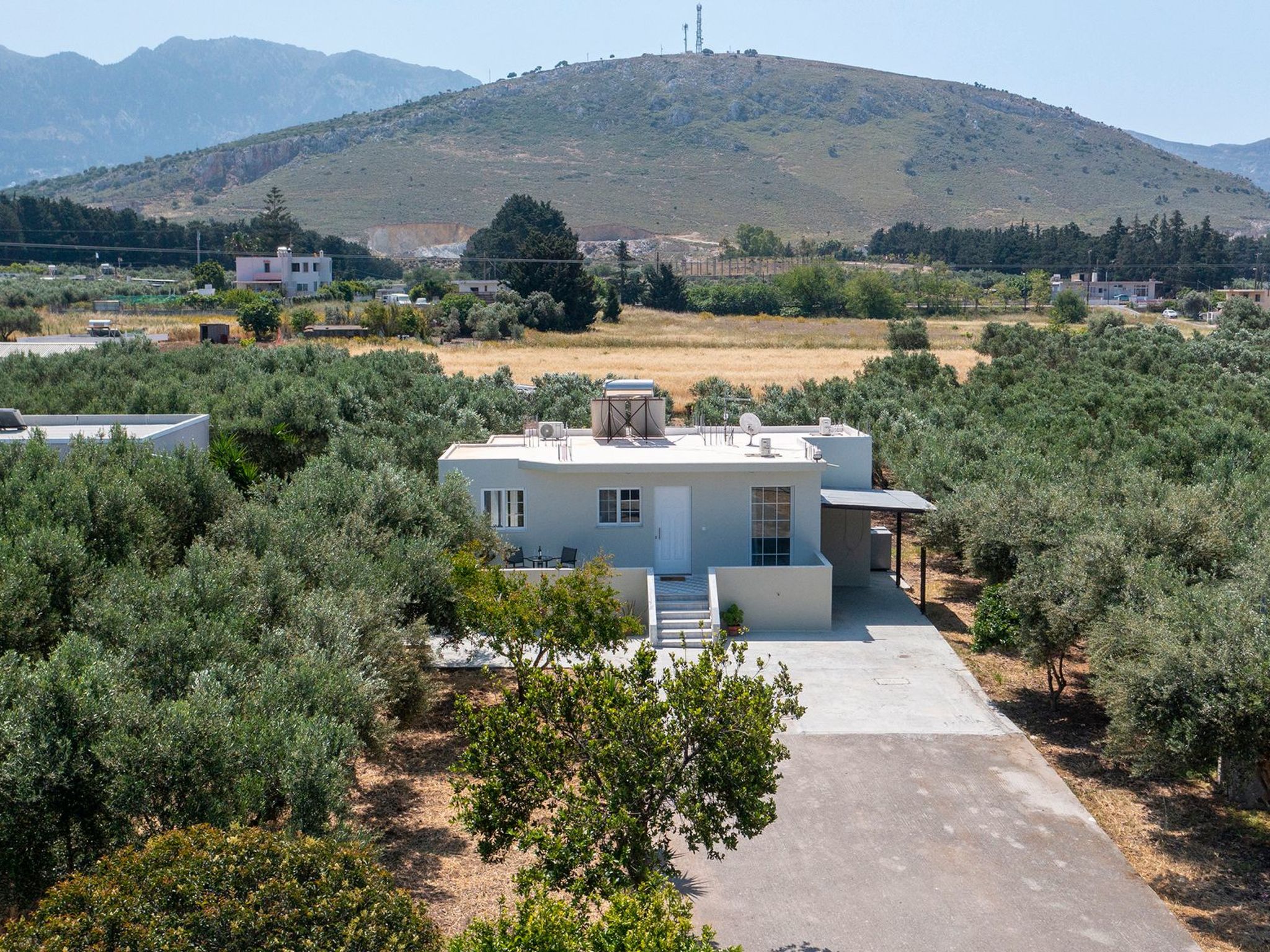 In einem Olivenhain in Strandnähe - Outside