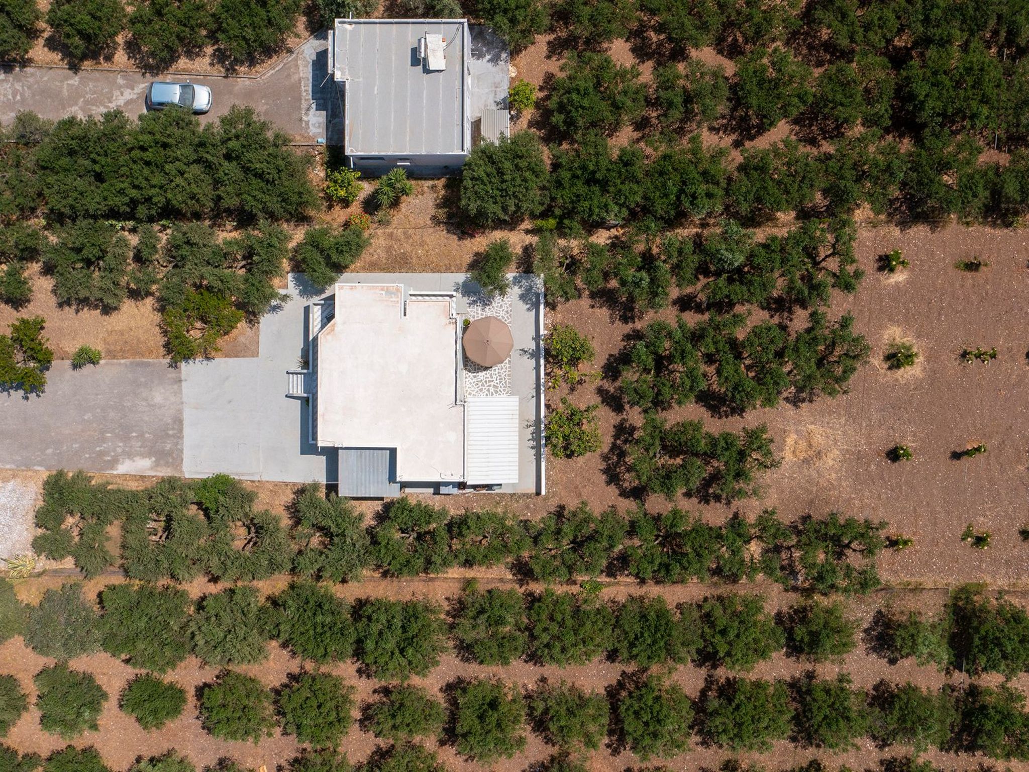 In einem Olivenhain in Strandnähe - Inside