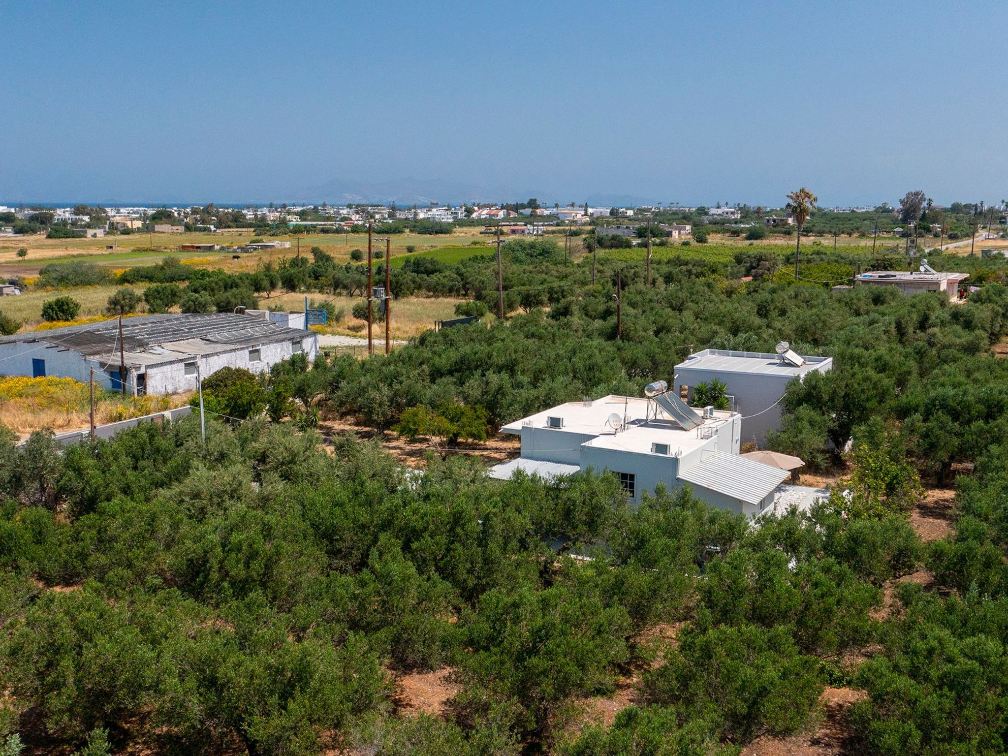 In einem Olivenhain in Strandnähe - Outside