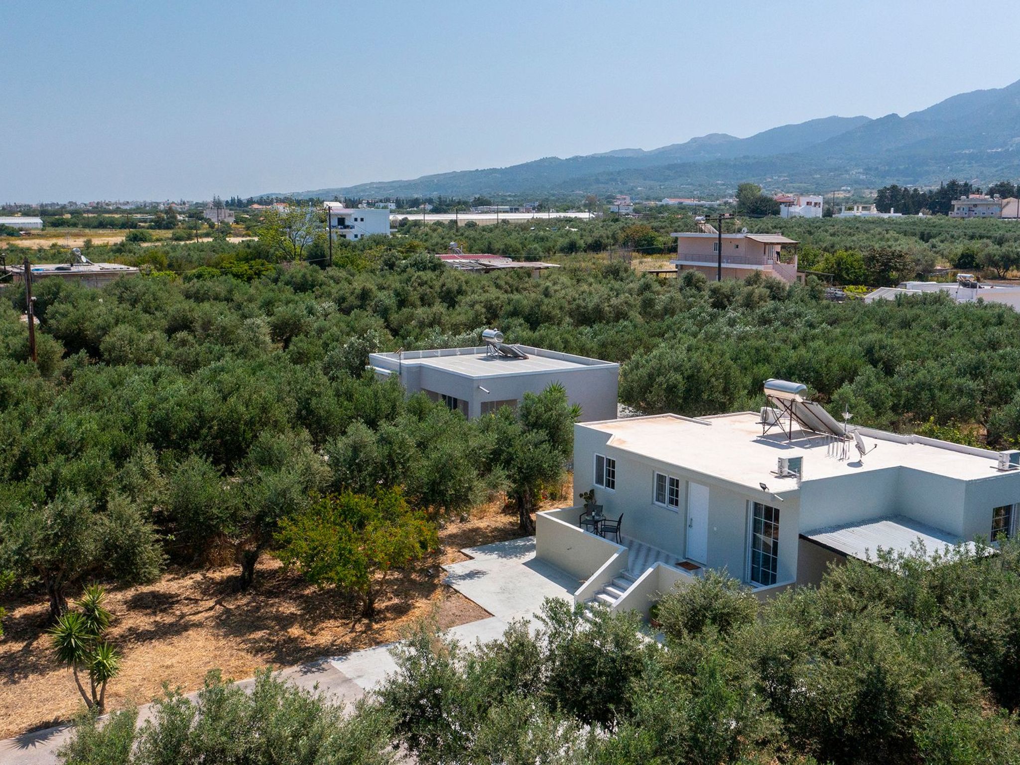 In einem Olivenhain in Strandnähe - Outside