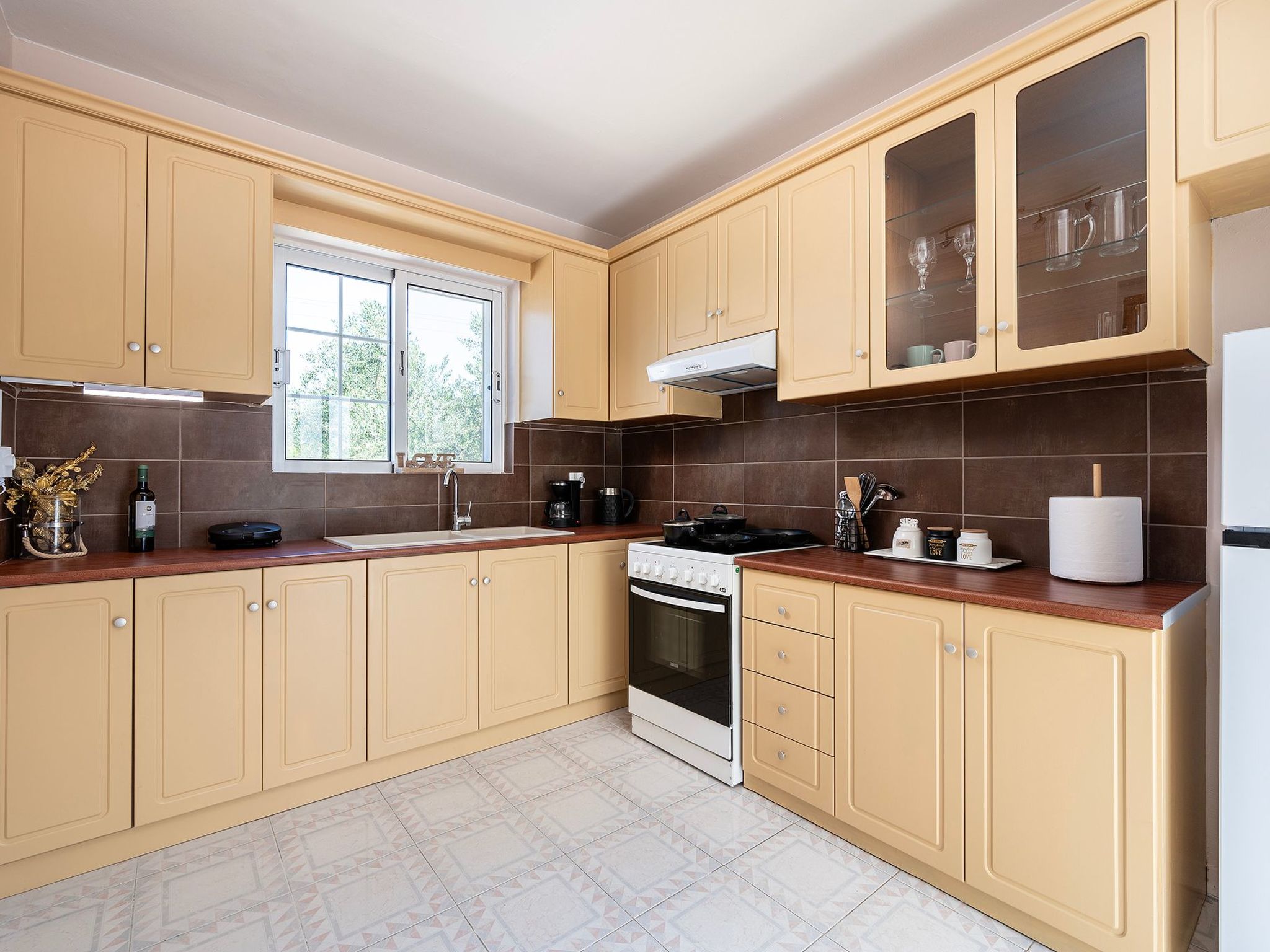 In einem Olivenhain in Strandnähe