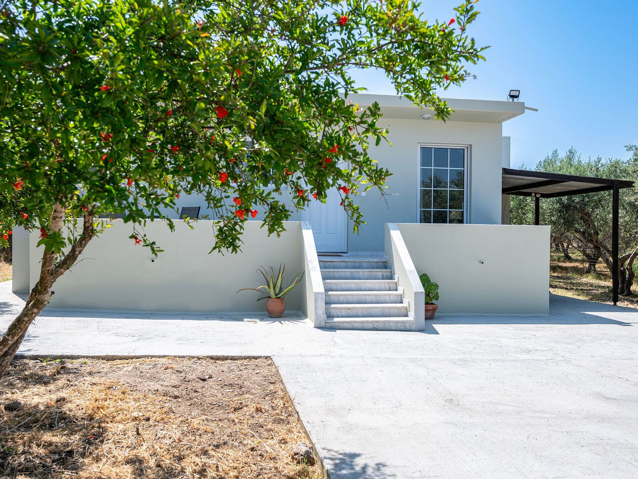 In einem Olivenhain in Strandnähe - Outside