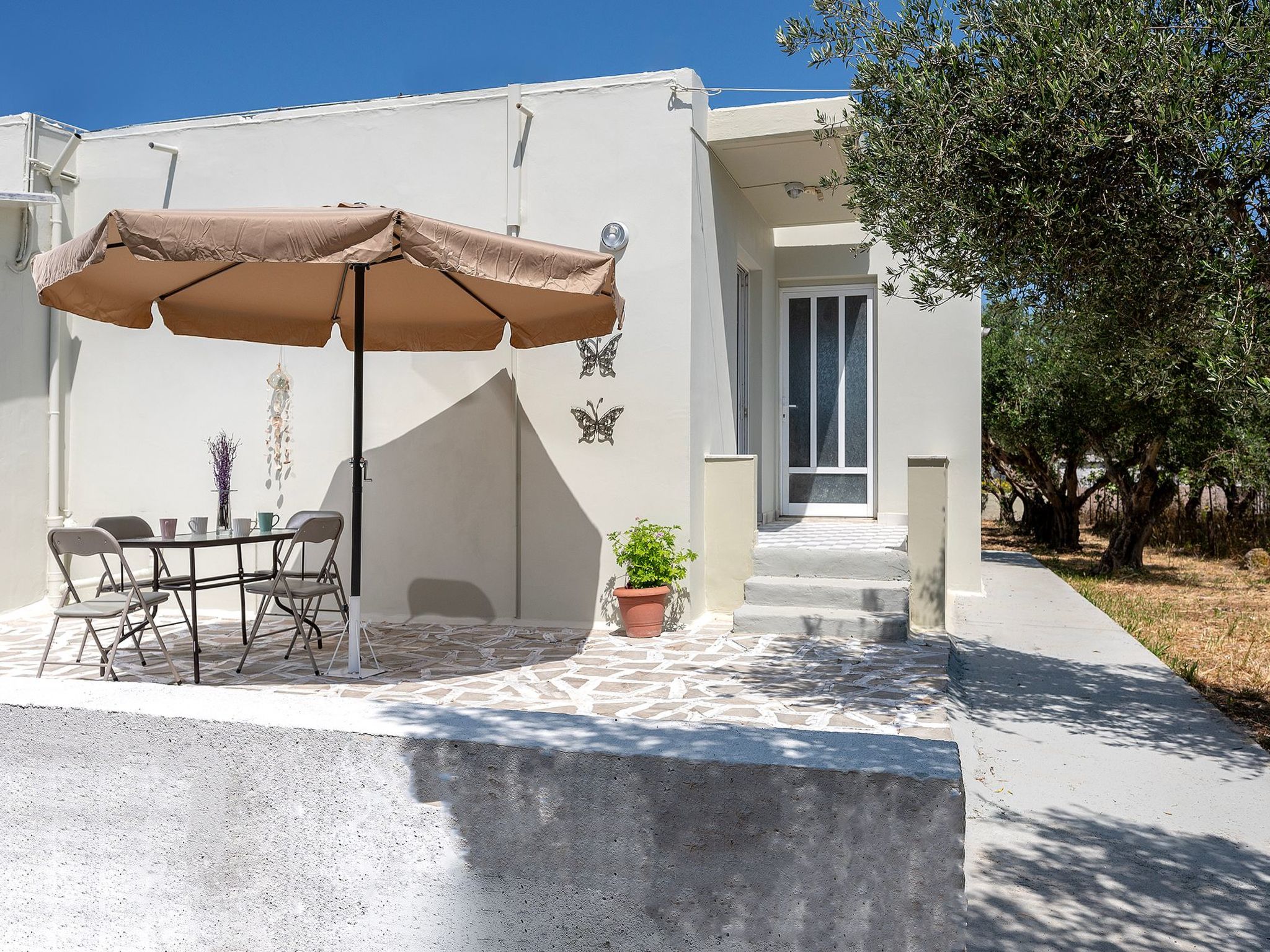 In einem Olivenhain in Strandnähe - Outside