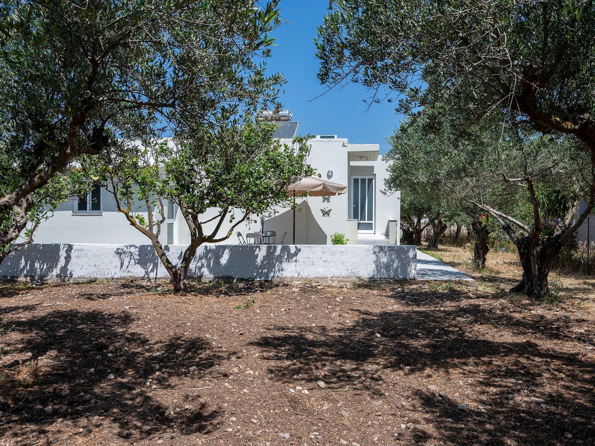 In einem Olivenhain in Strandnähe - Outside