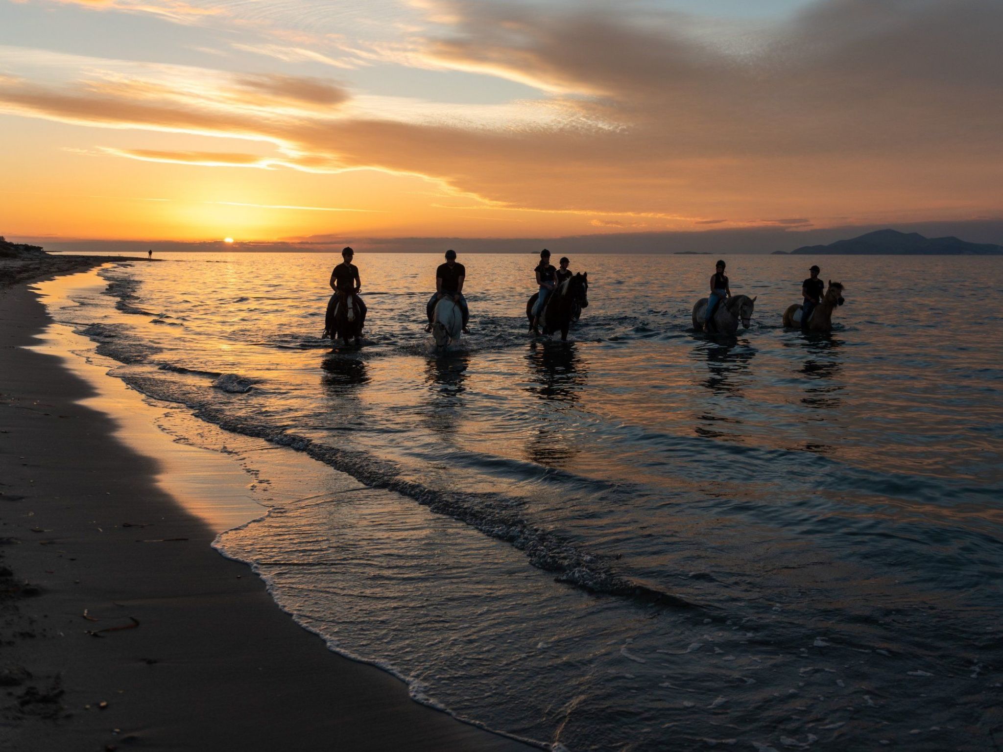 In einem Olivenhain in Strandnähe - Outside