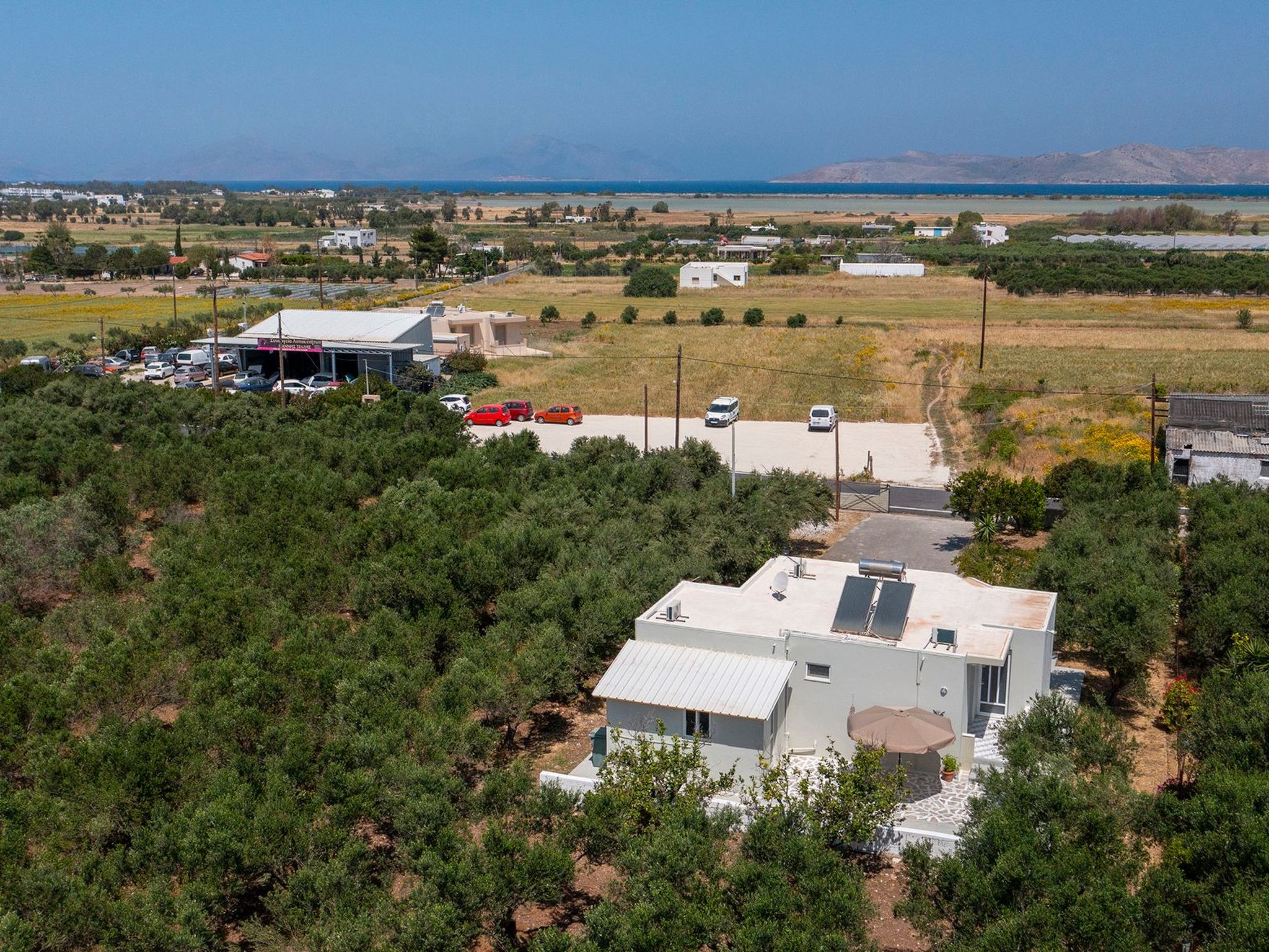 In einem Olivenhain in Strandnähe - Outside