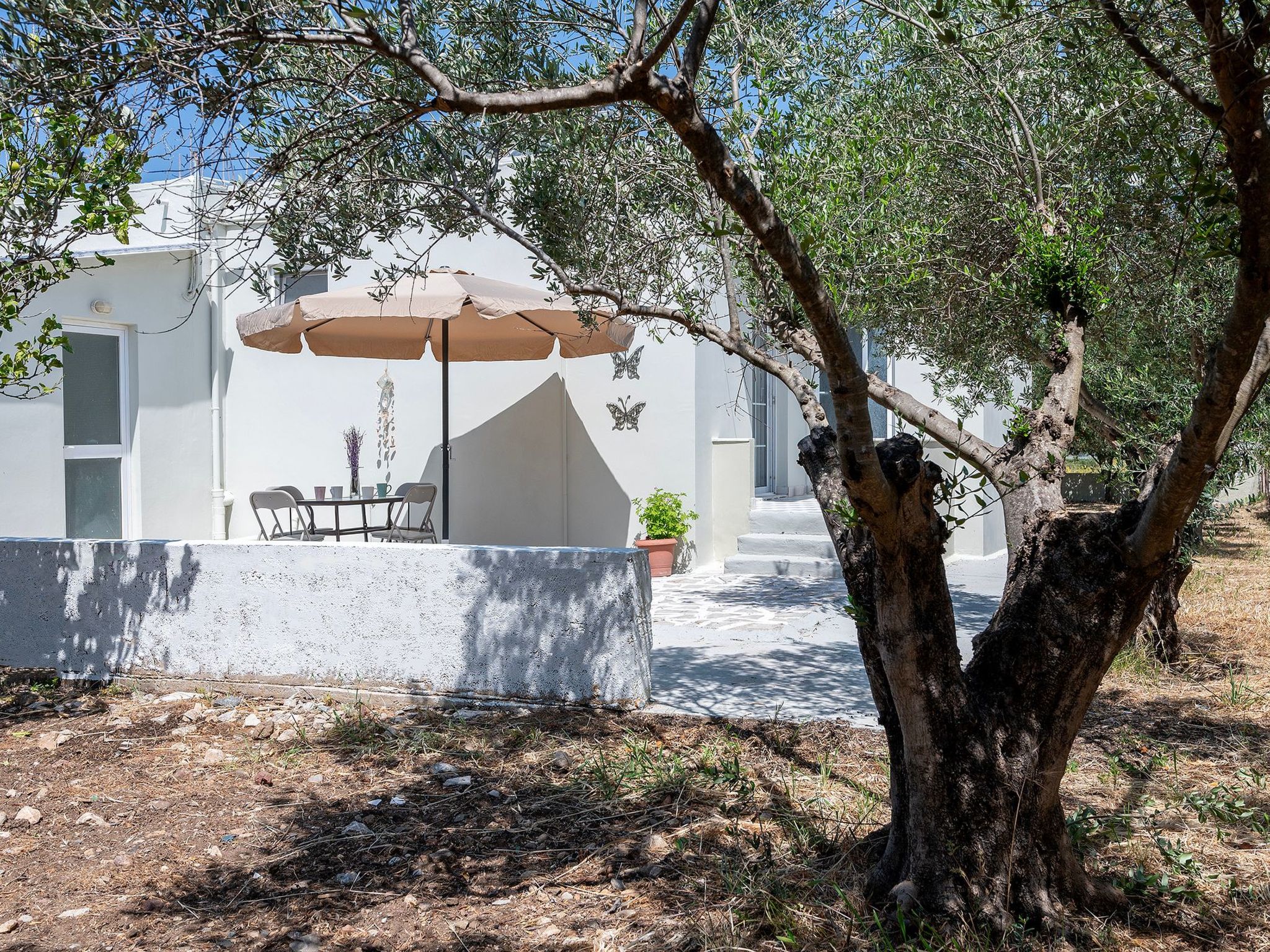 In einem Olivenhain in Strandnähe - Outside