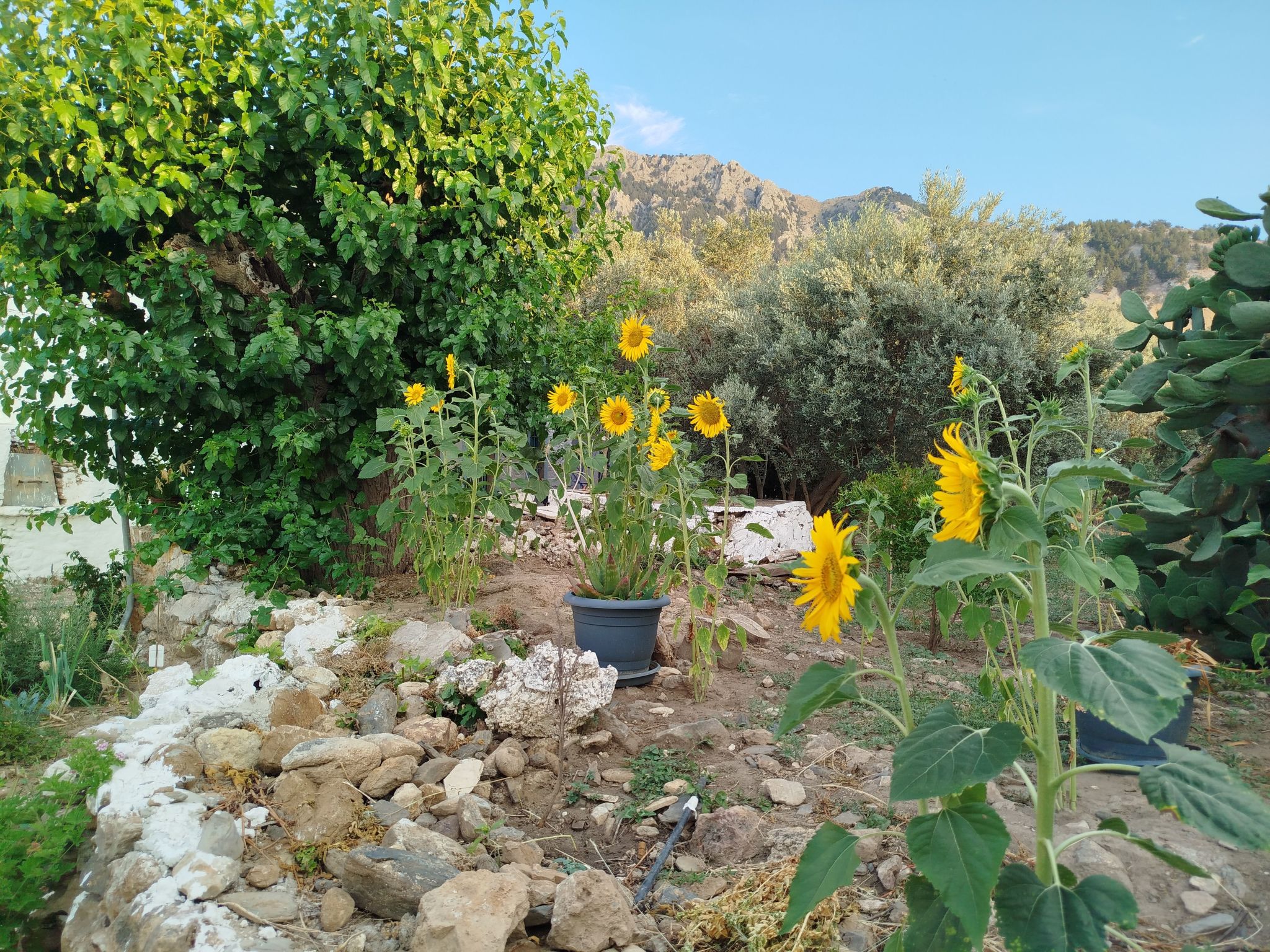 "Großvaters Haus", ein 150 Jahre altes Steinhaus-Binnen