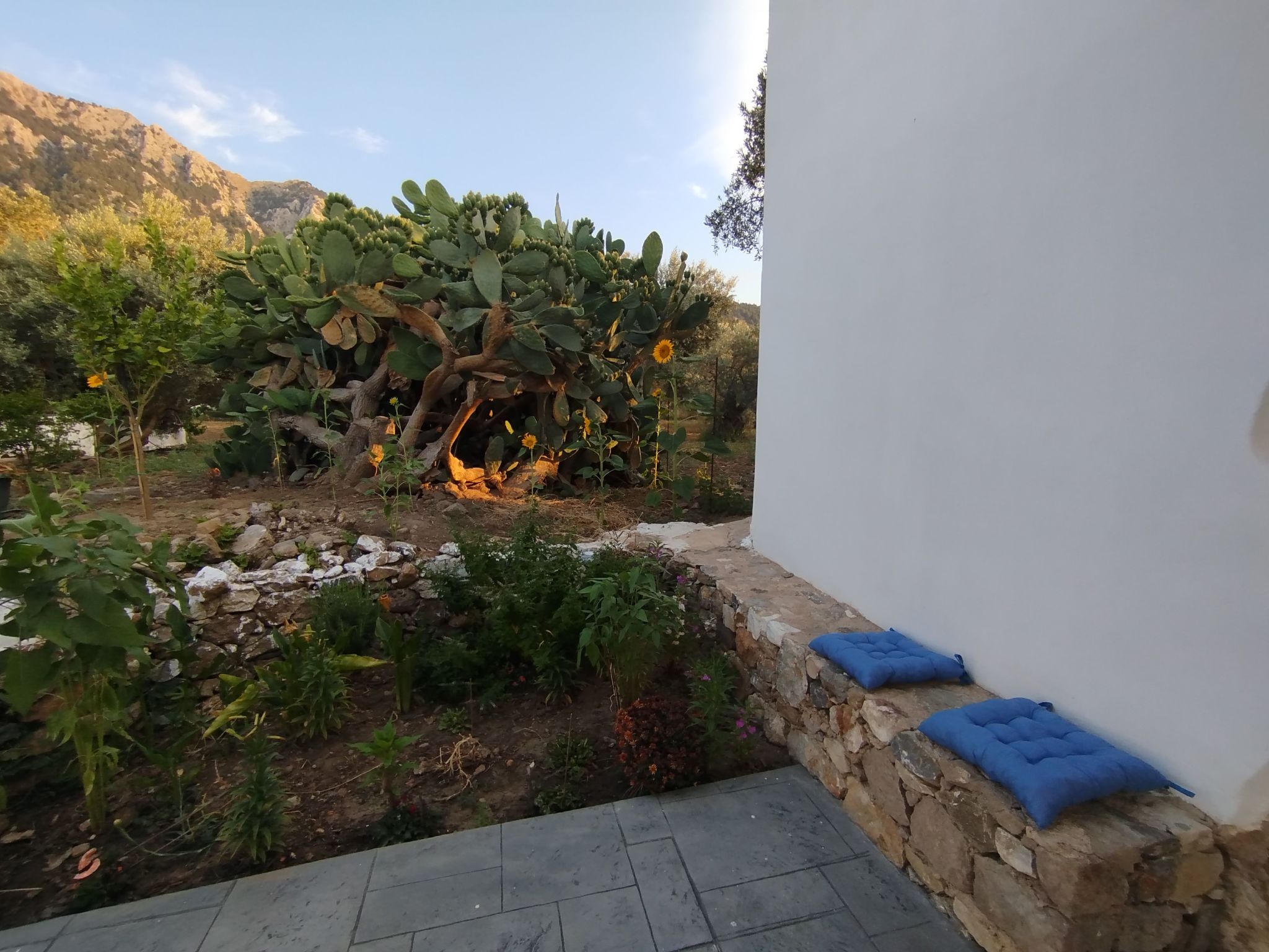 "Großvaters Haus", ein 150 Jahre altes Steinhaus-Binnen