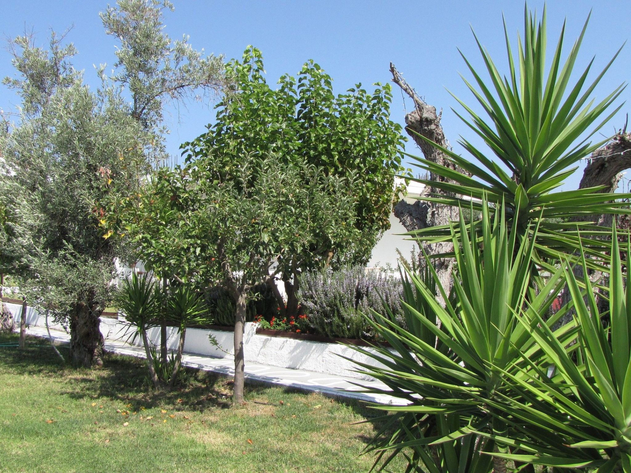 Skiathos Ferienhaus-Binnen