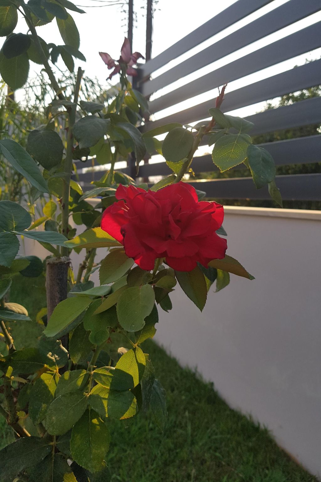 Villa "Dimitris" mit Blick auf das Wasser-Buiten
