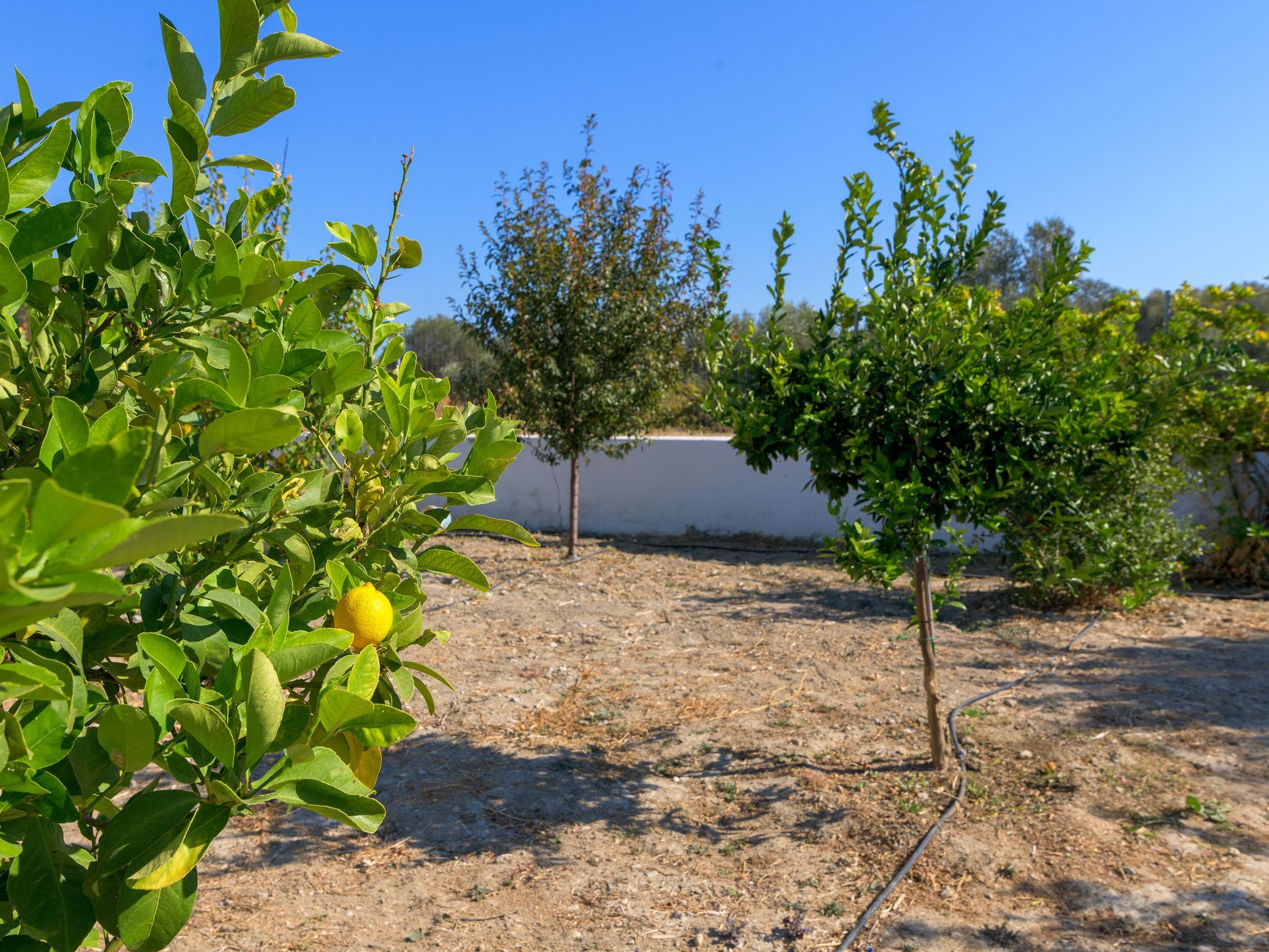 "Villa Galini"-Binnen