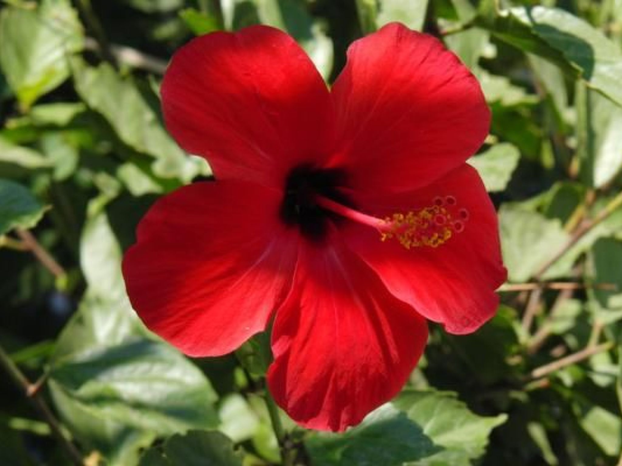 Castle View Haraki-Dehors