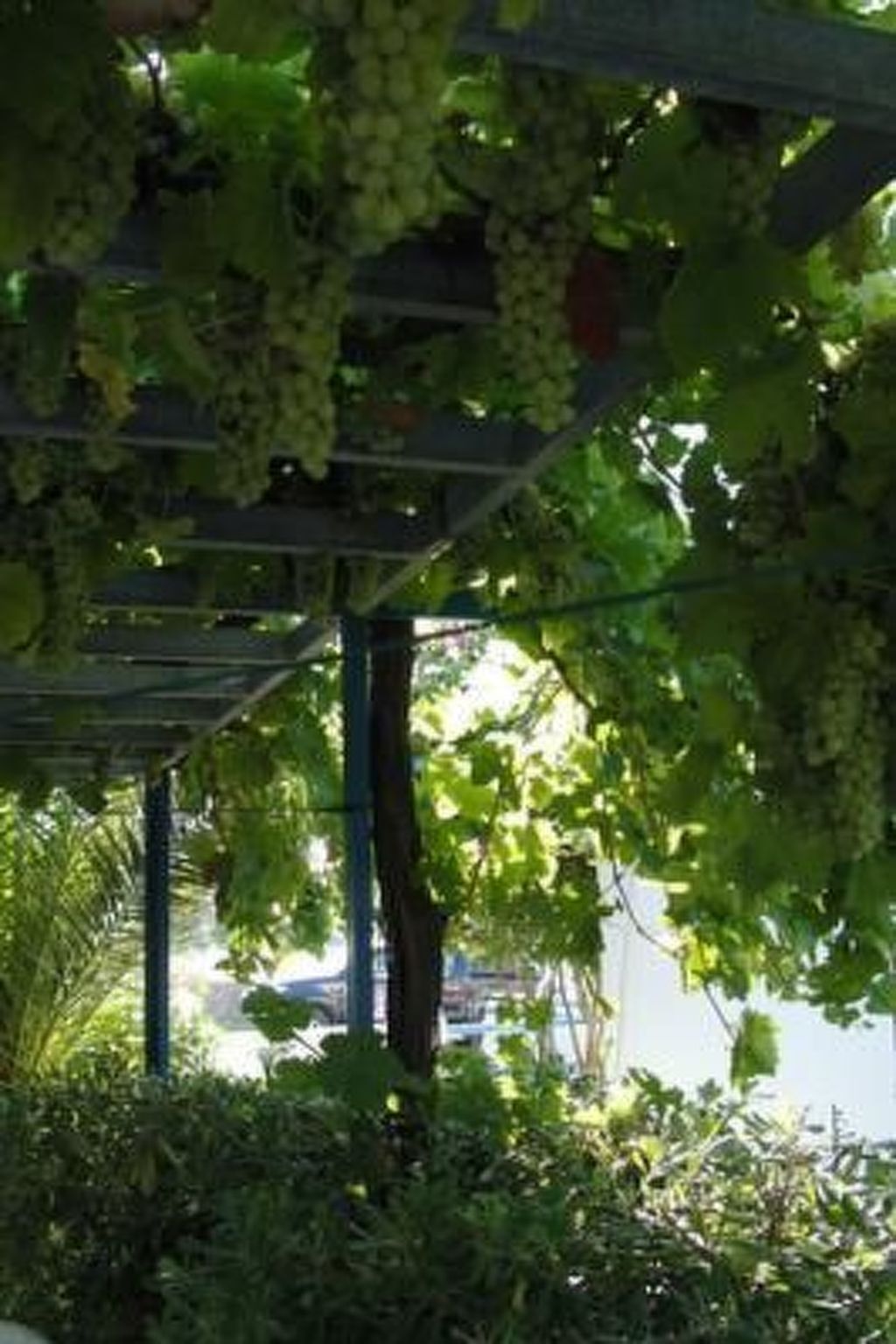 Castle View Haraki-Image-tags.info