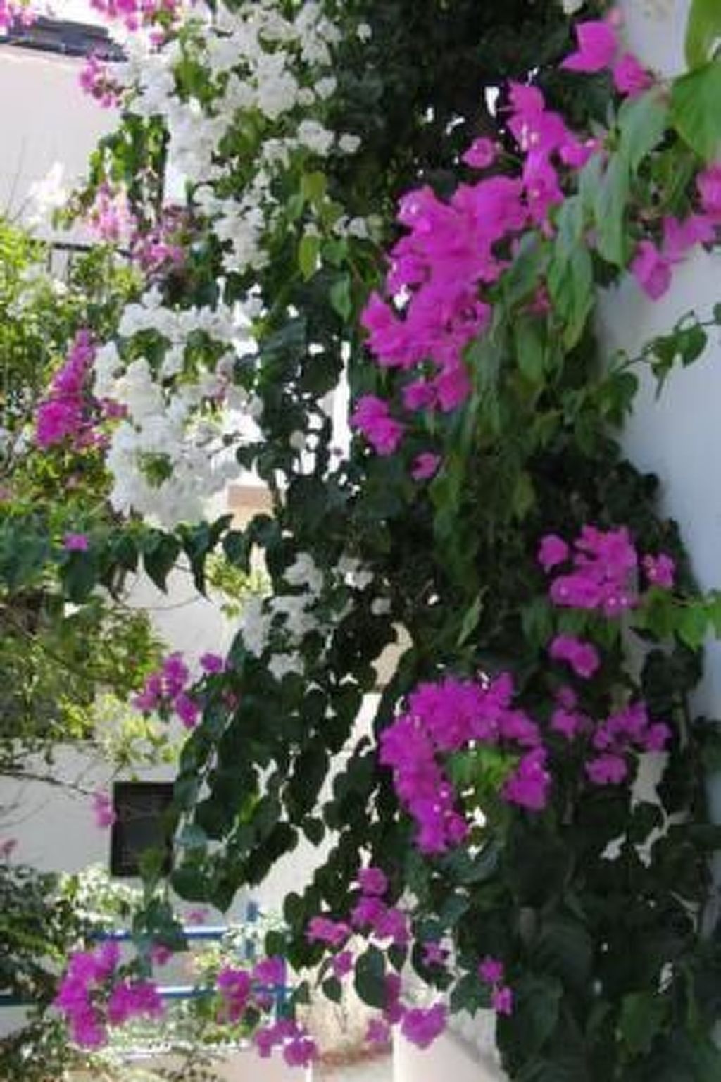 Castle View Haraki-Dehors