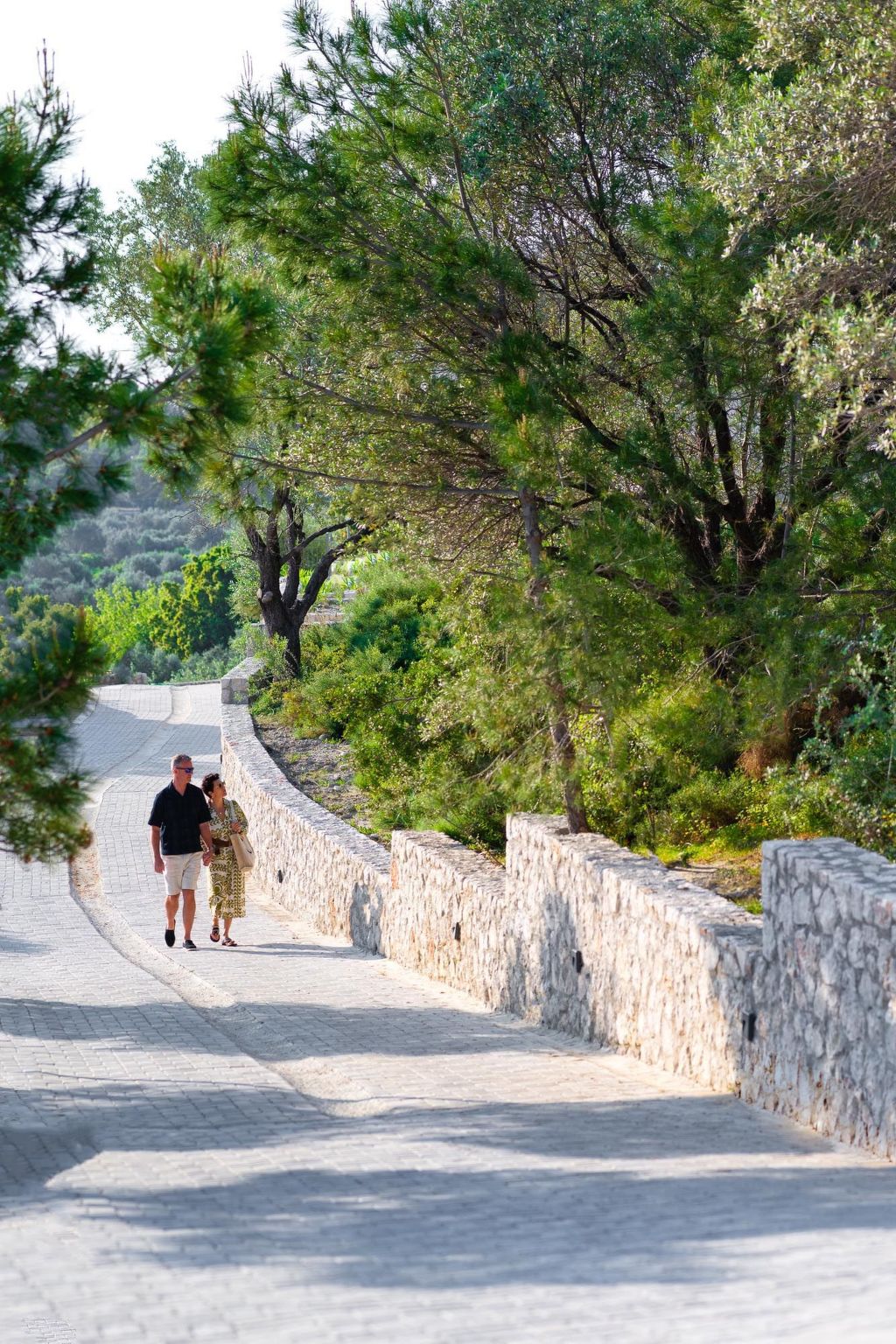 Massari-Hügel - Violetta-Dehors