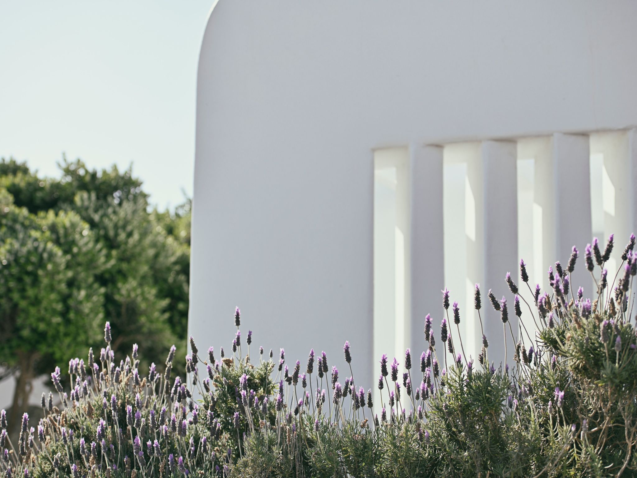 Villa Serene zu Fuß zu 4 Stränden-Buiten
