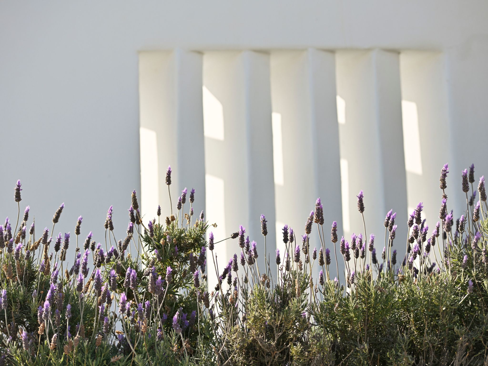 Villa Serene zu Fuß zu 4 Stränden-Buiten