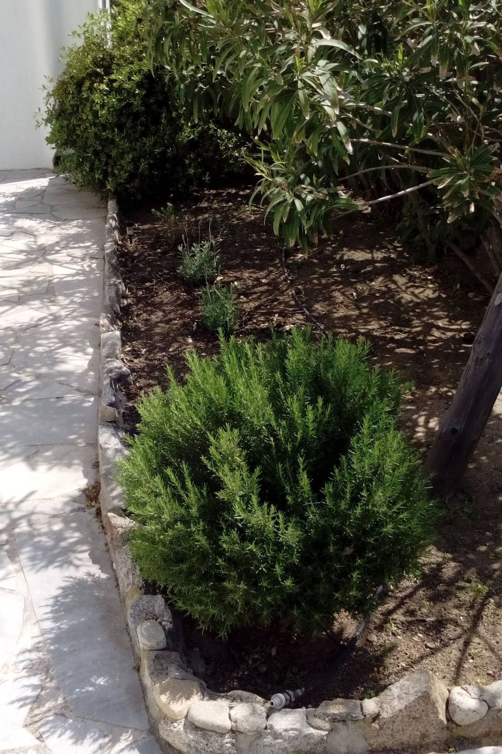 "Mykonian Aroma" mit Pool-Dehors