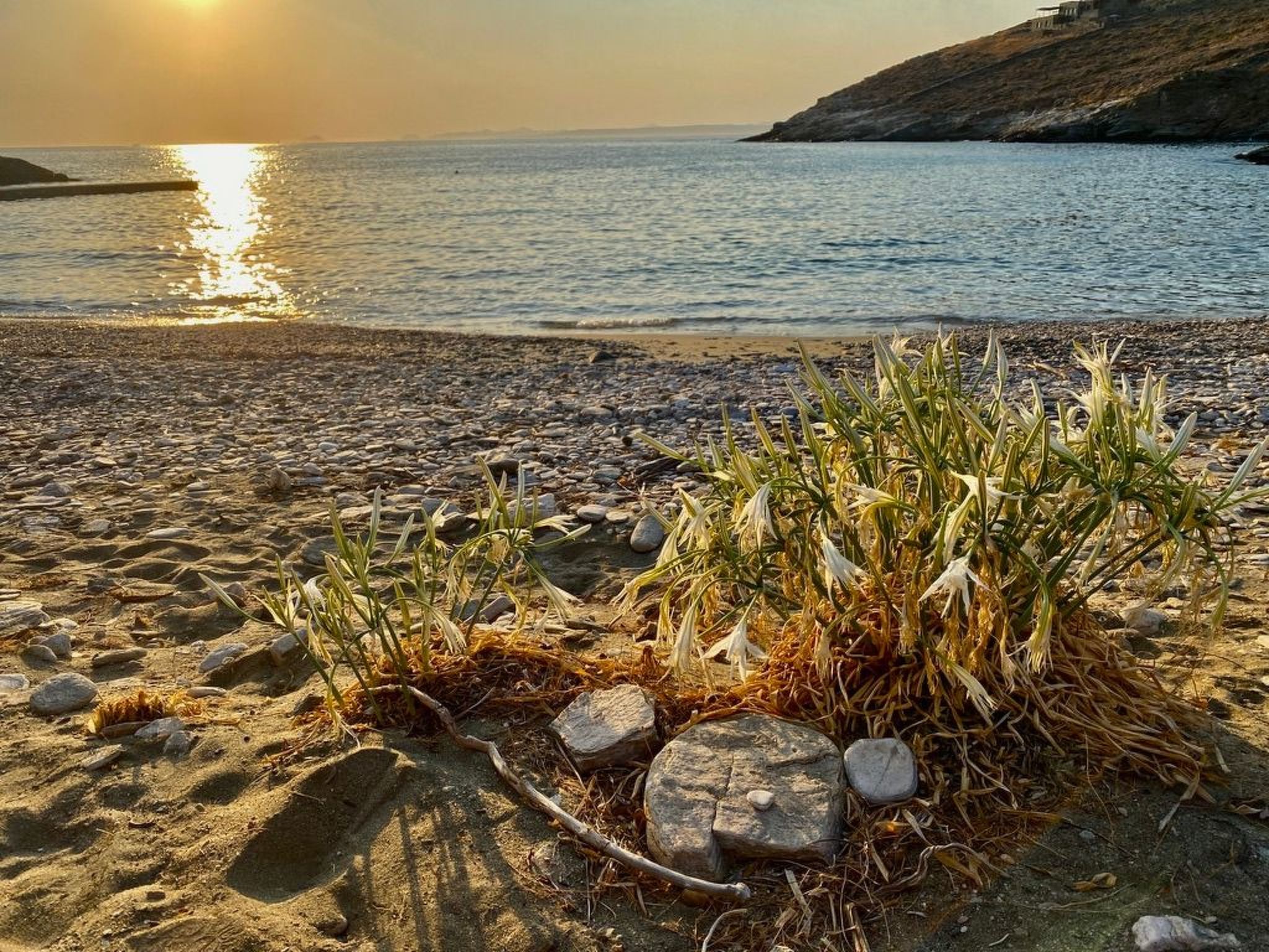 Ruhig gelegene Wohnung mit Meerblick an einem abgelegenen Strand-Image-tags.info